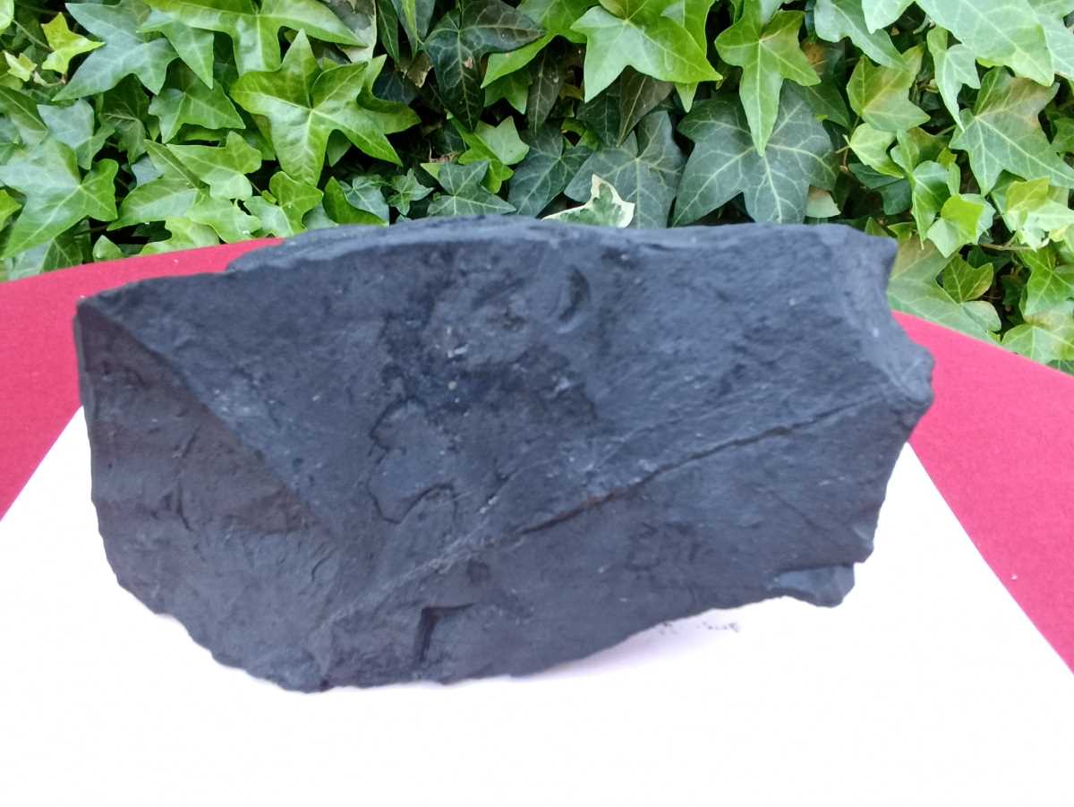 Shungite