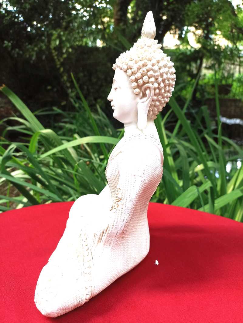 Bouddha en méditation 