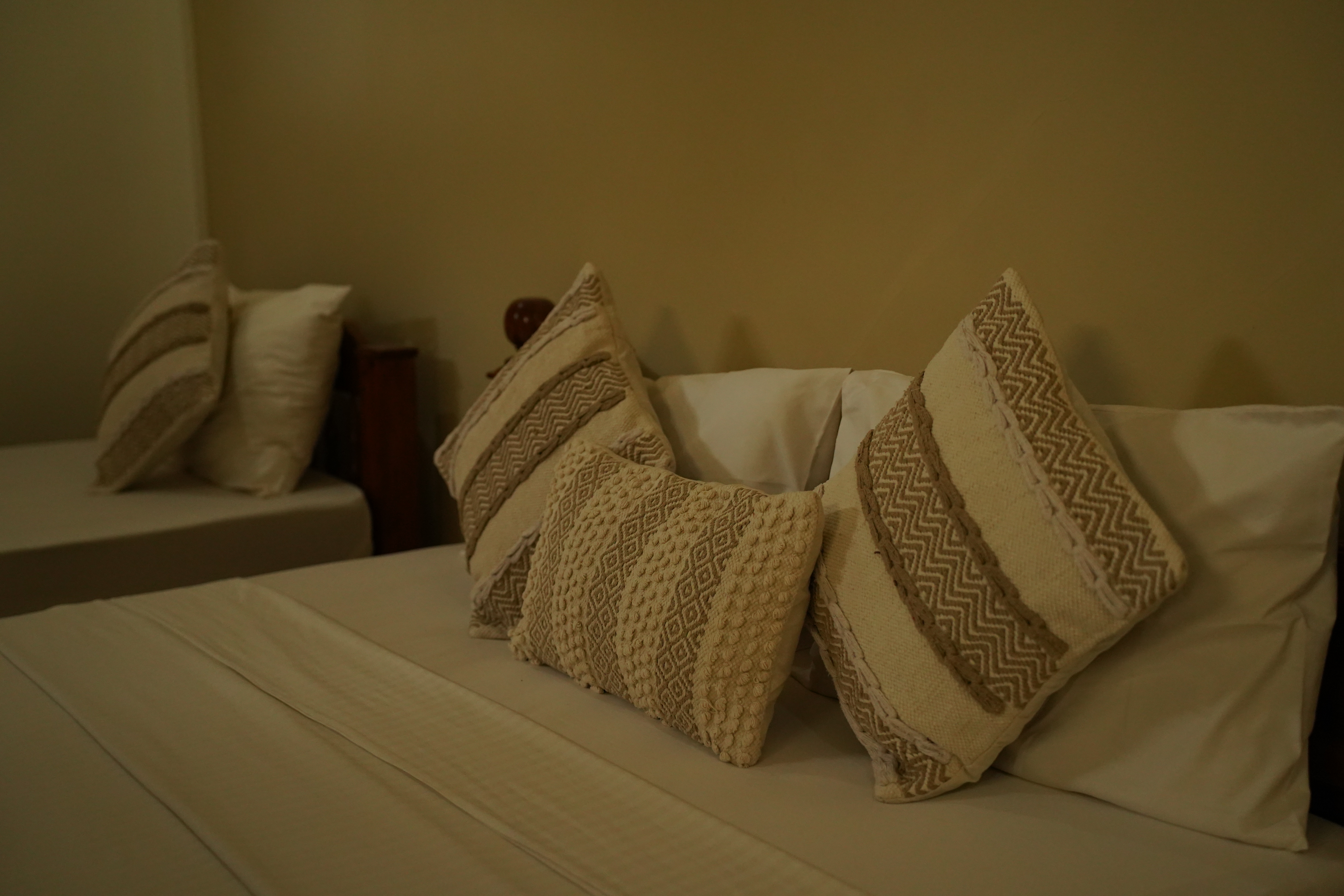 Superior Double Room with shower