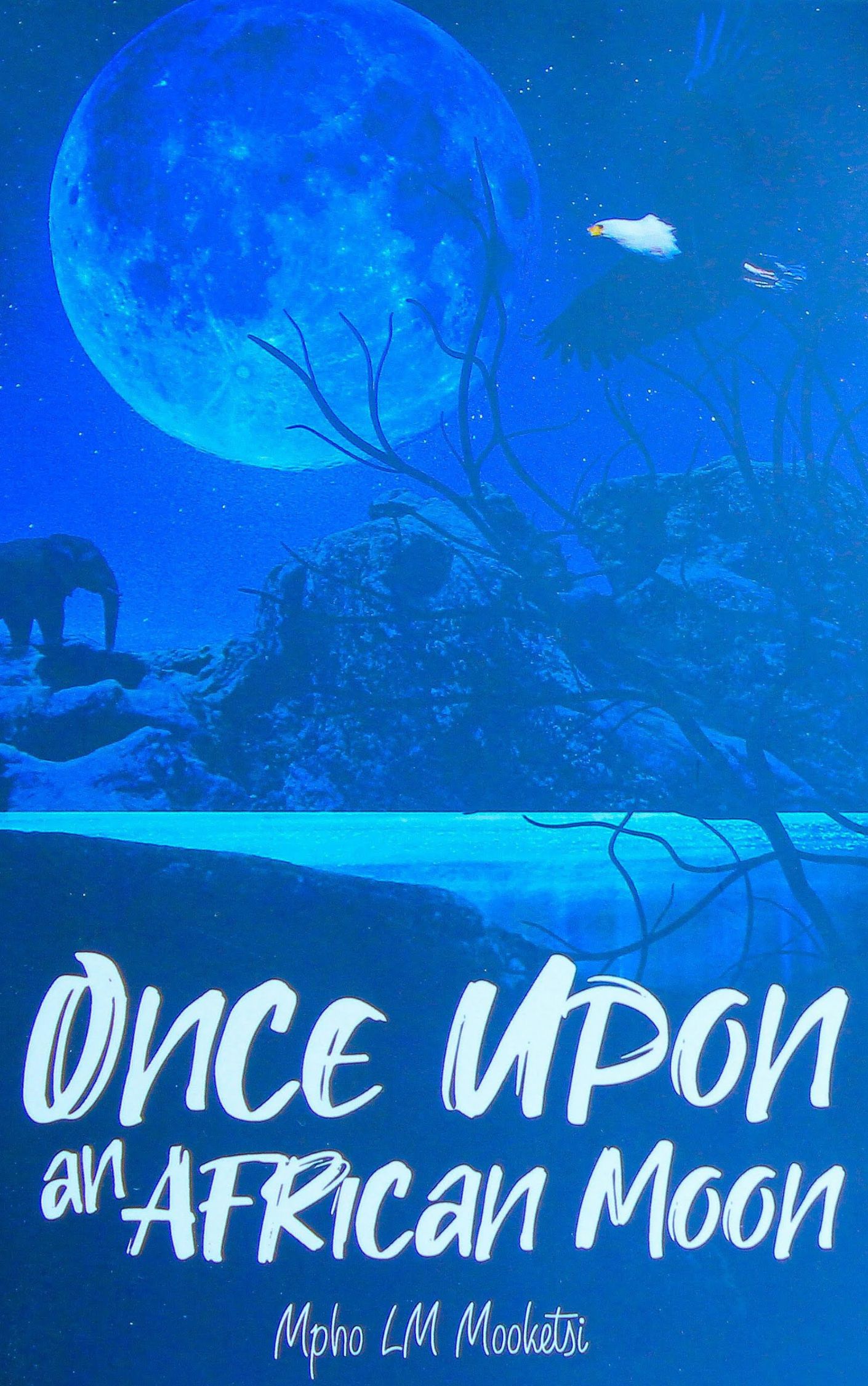 Once Upon an African Moon (BWP185.00)