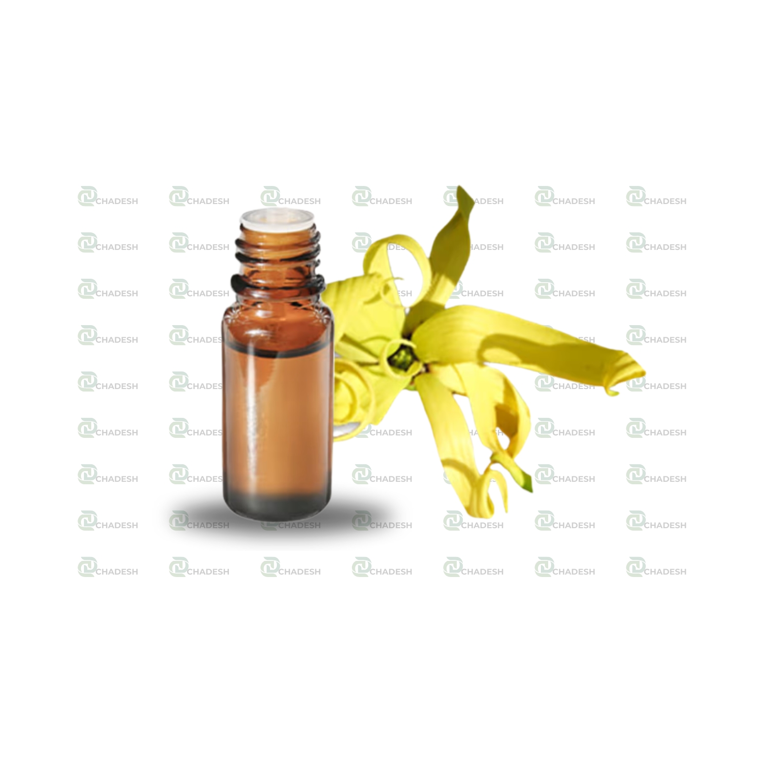 Ylang-Ylang