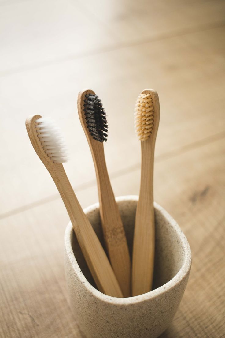 Bamboo Toothbrush ( Pack of 2)