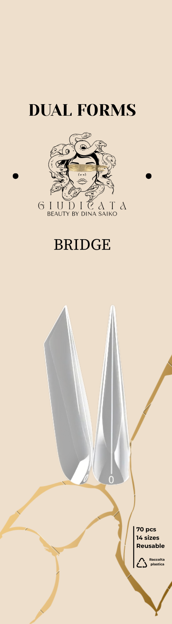 BRIDGE
