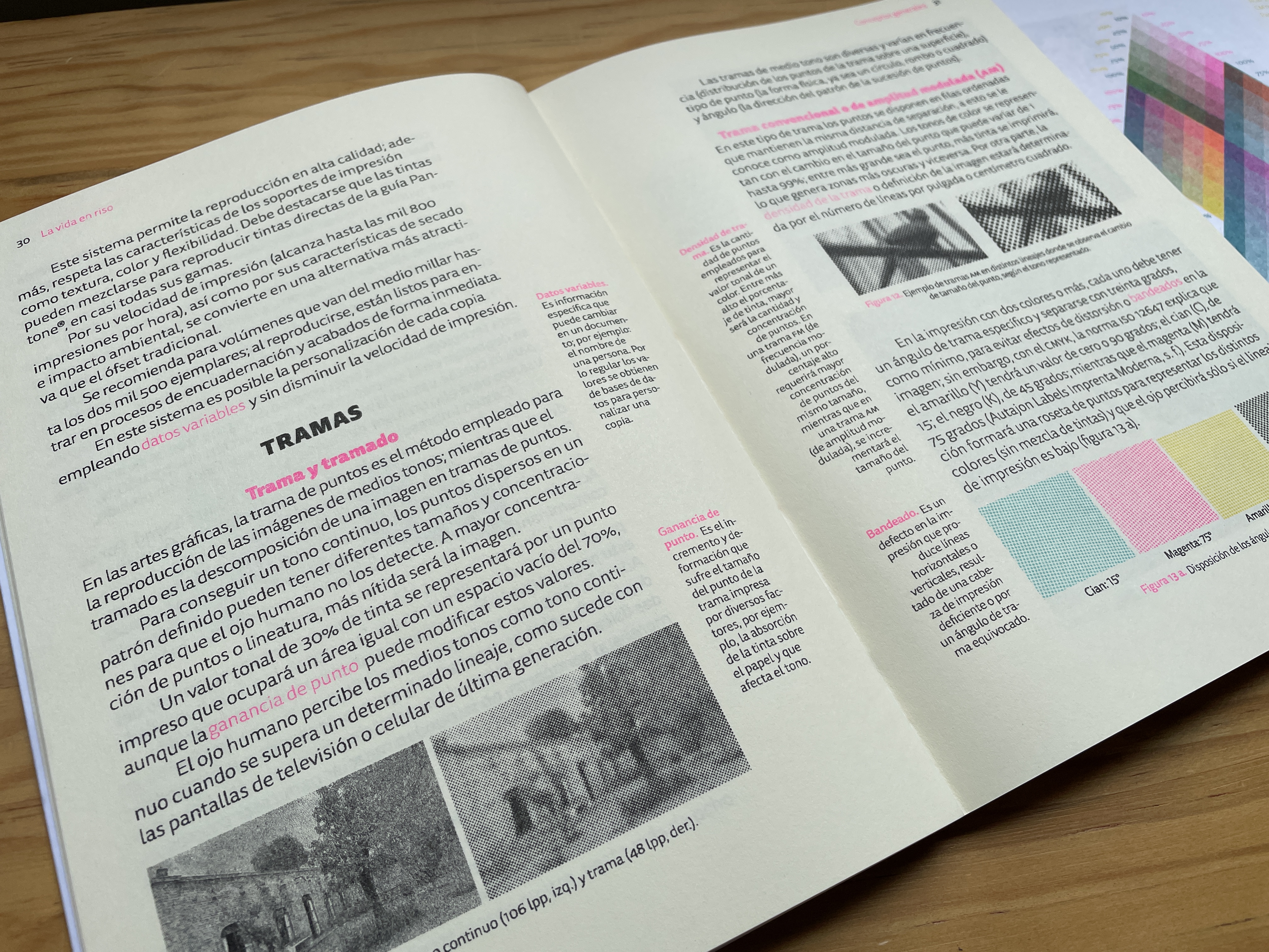 La vida en riso. Guía de producción e impresión en risografía