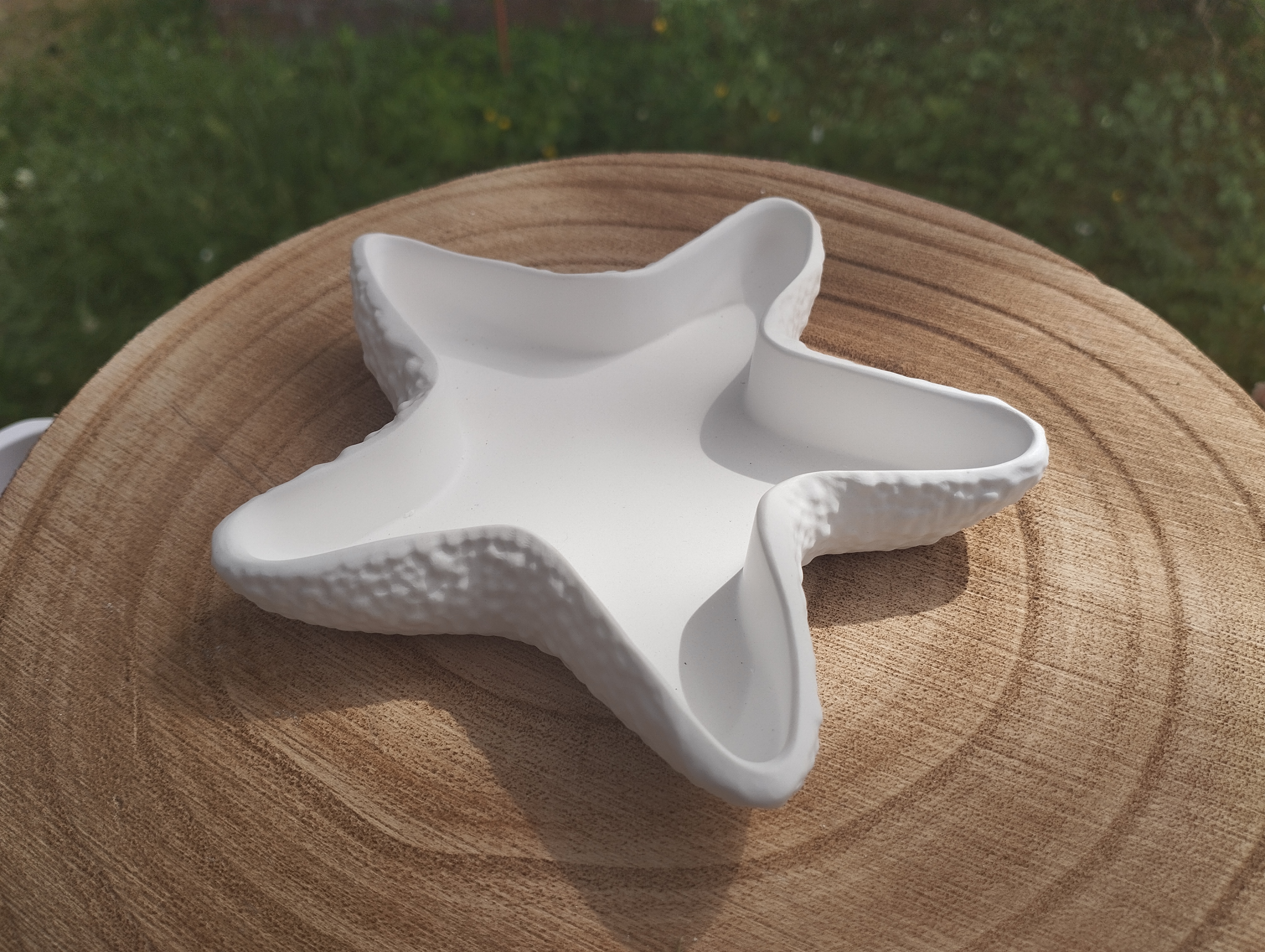 Seestern Keramikschale