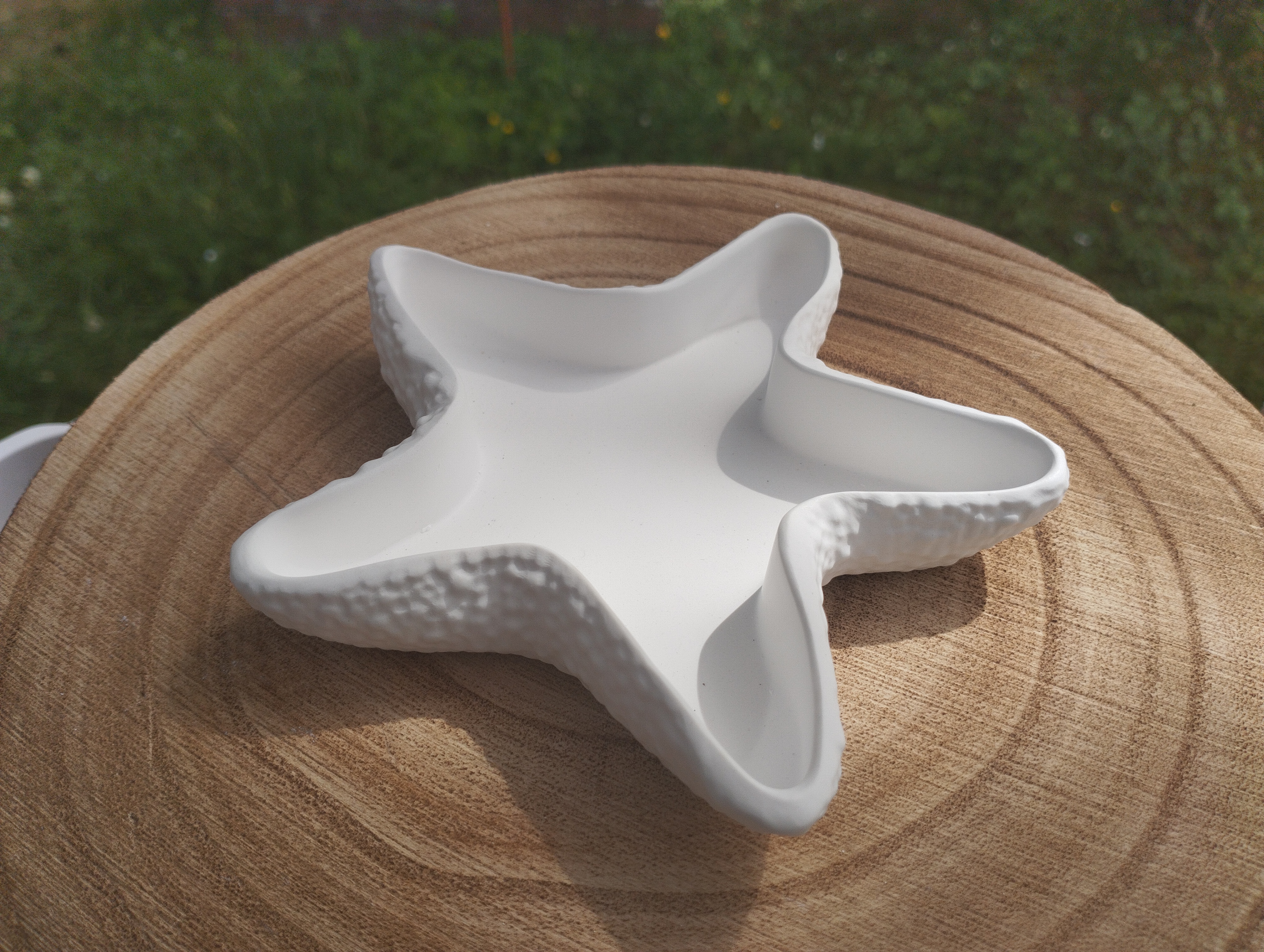 Seestern Keramikschale