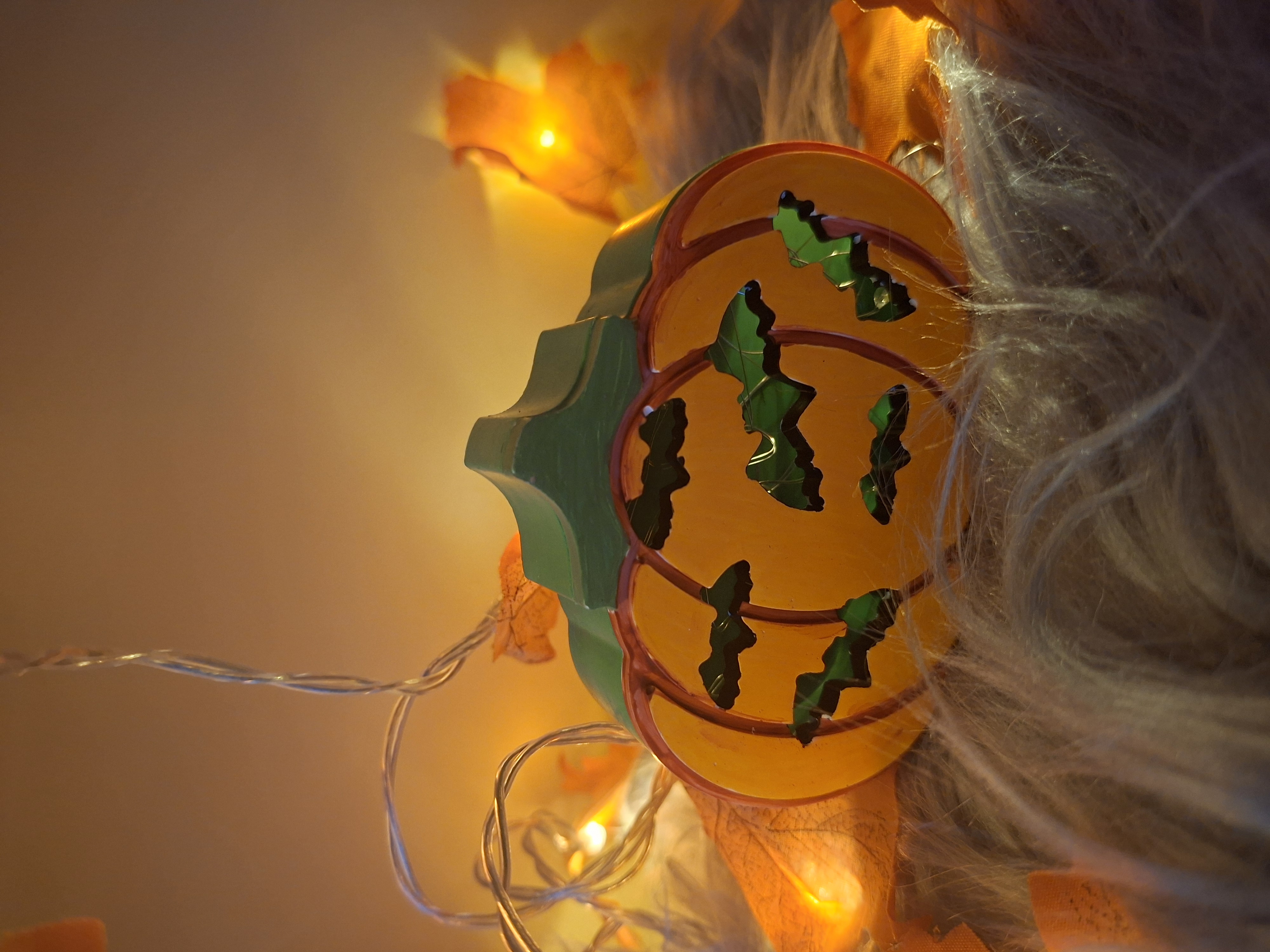 Halloween Kürbis Lichterbox Fledermäuse