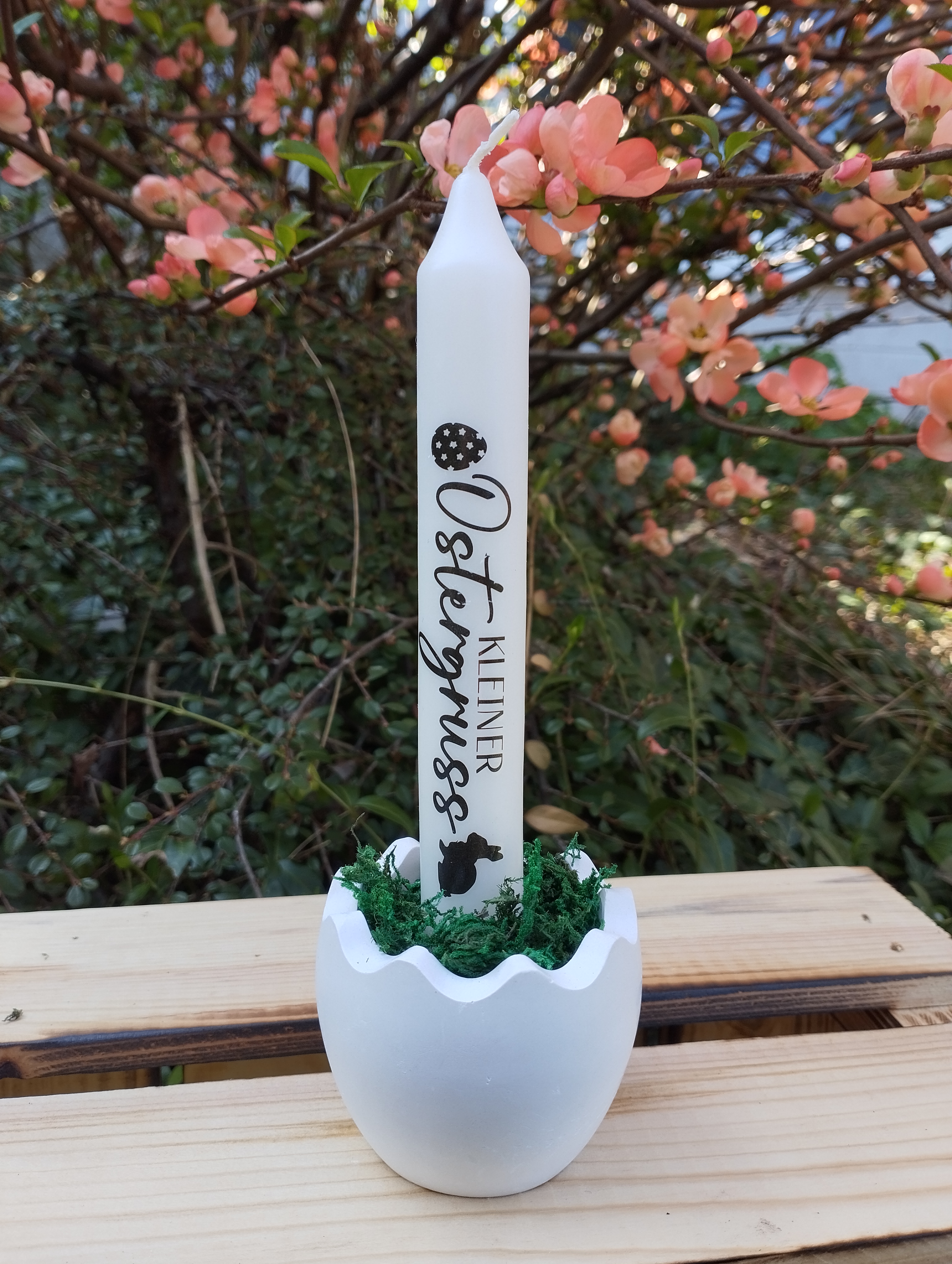 Dekoteller Ostern, Osterhase