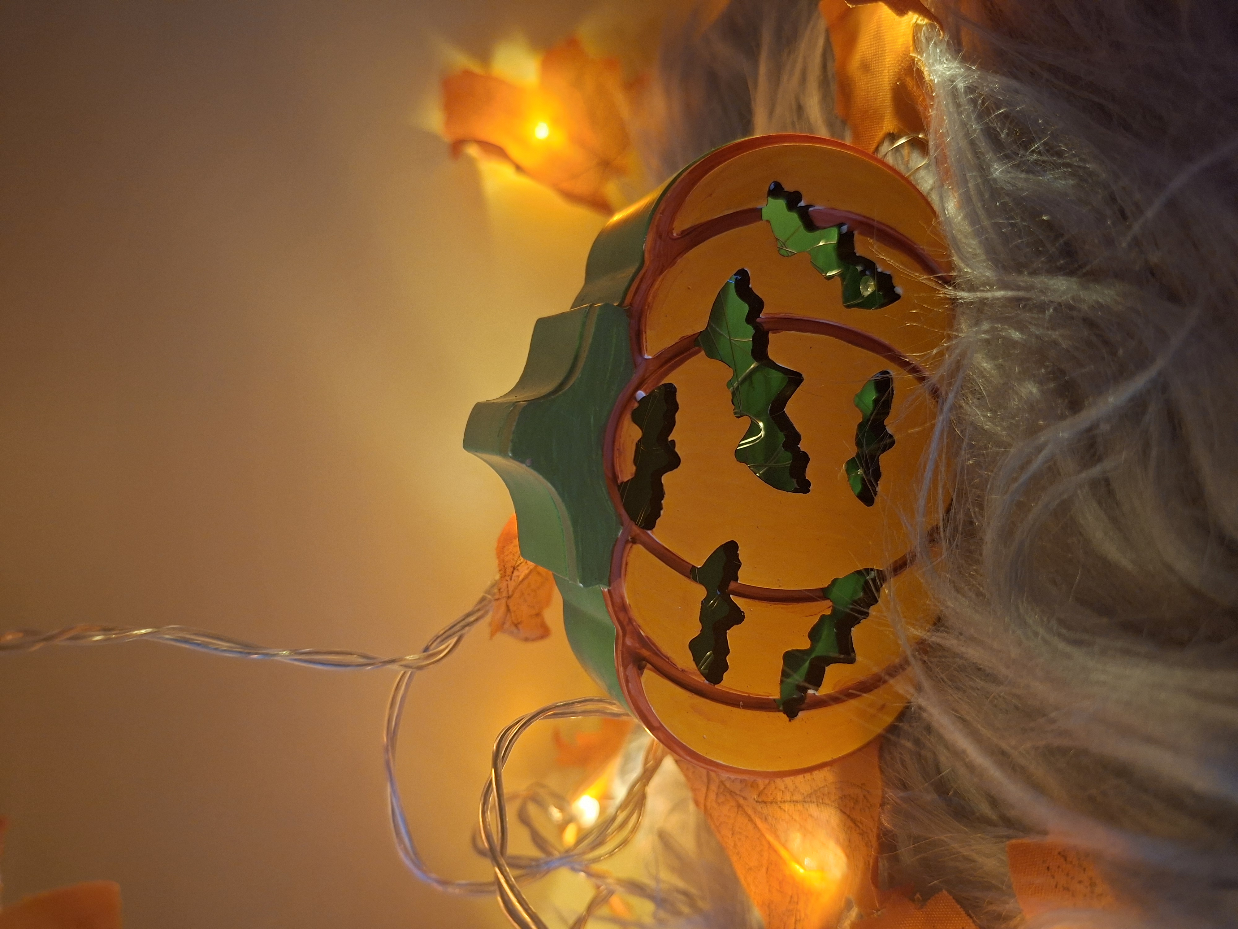 Halloween Kürbis Lichterbox Fledermäuse