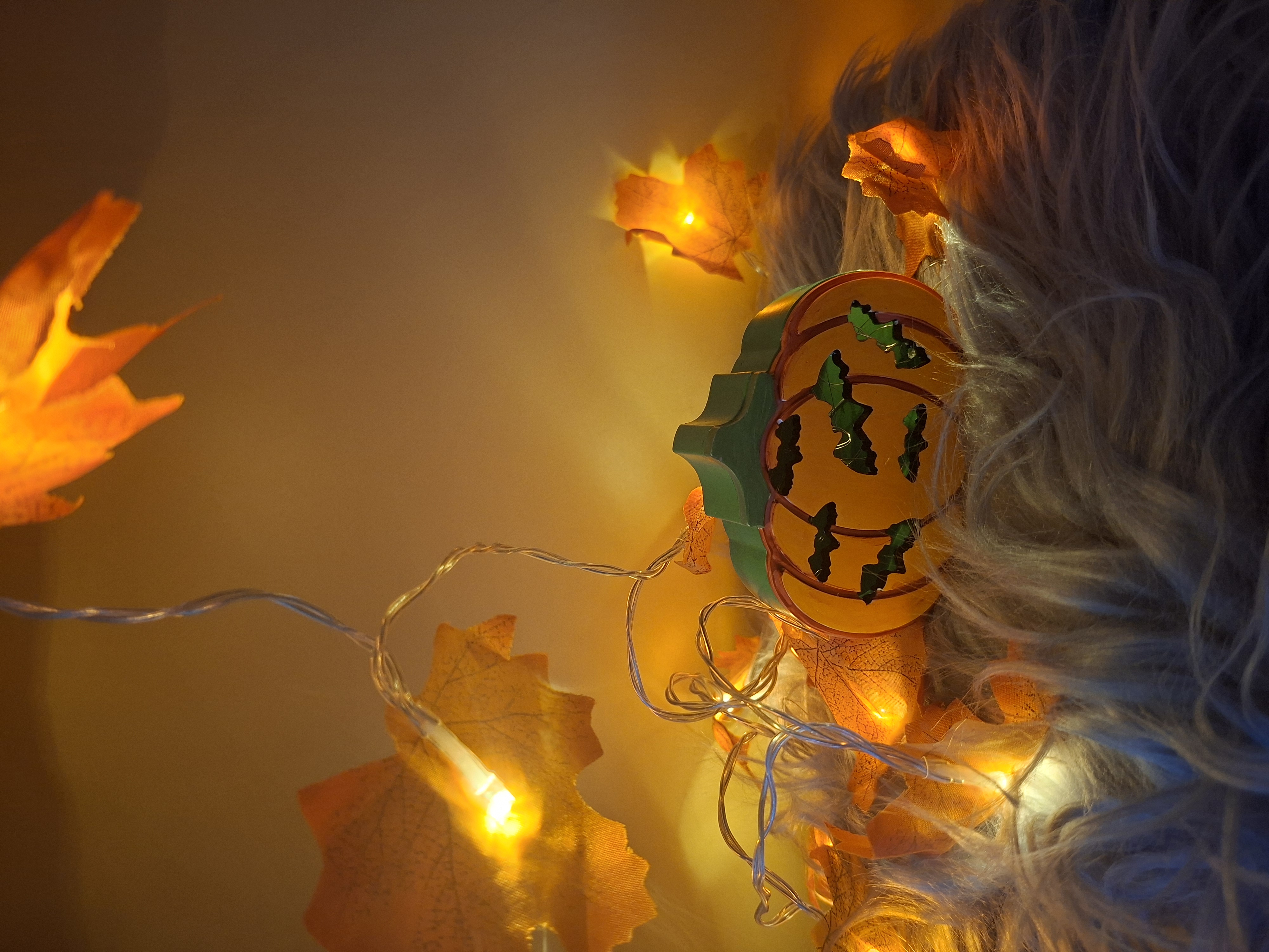 Halloween Kürbis Lichterbox Fledermäuse