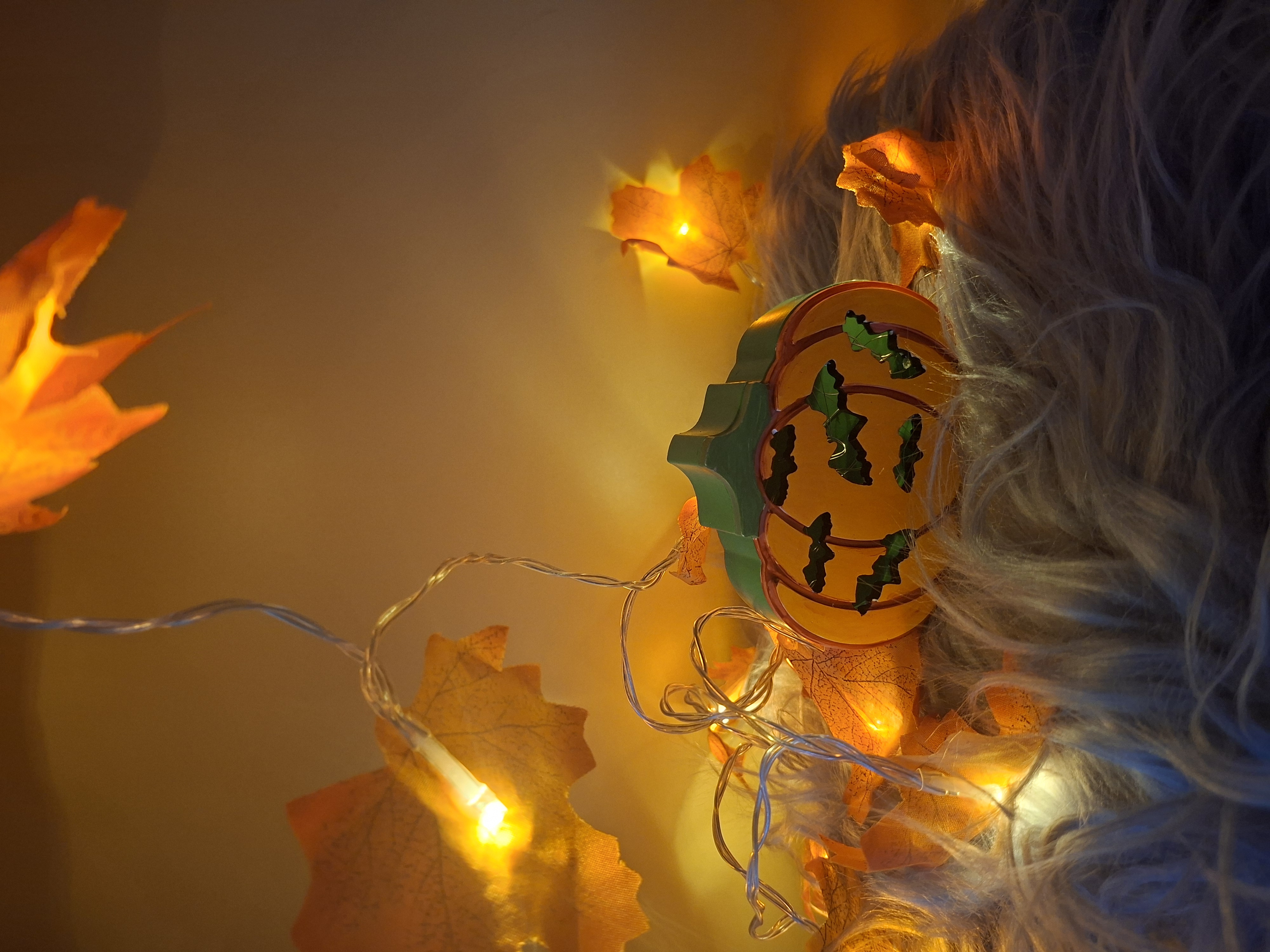 Halloween Kürbis Lichterbox Fledermäuse