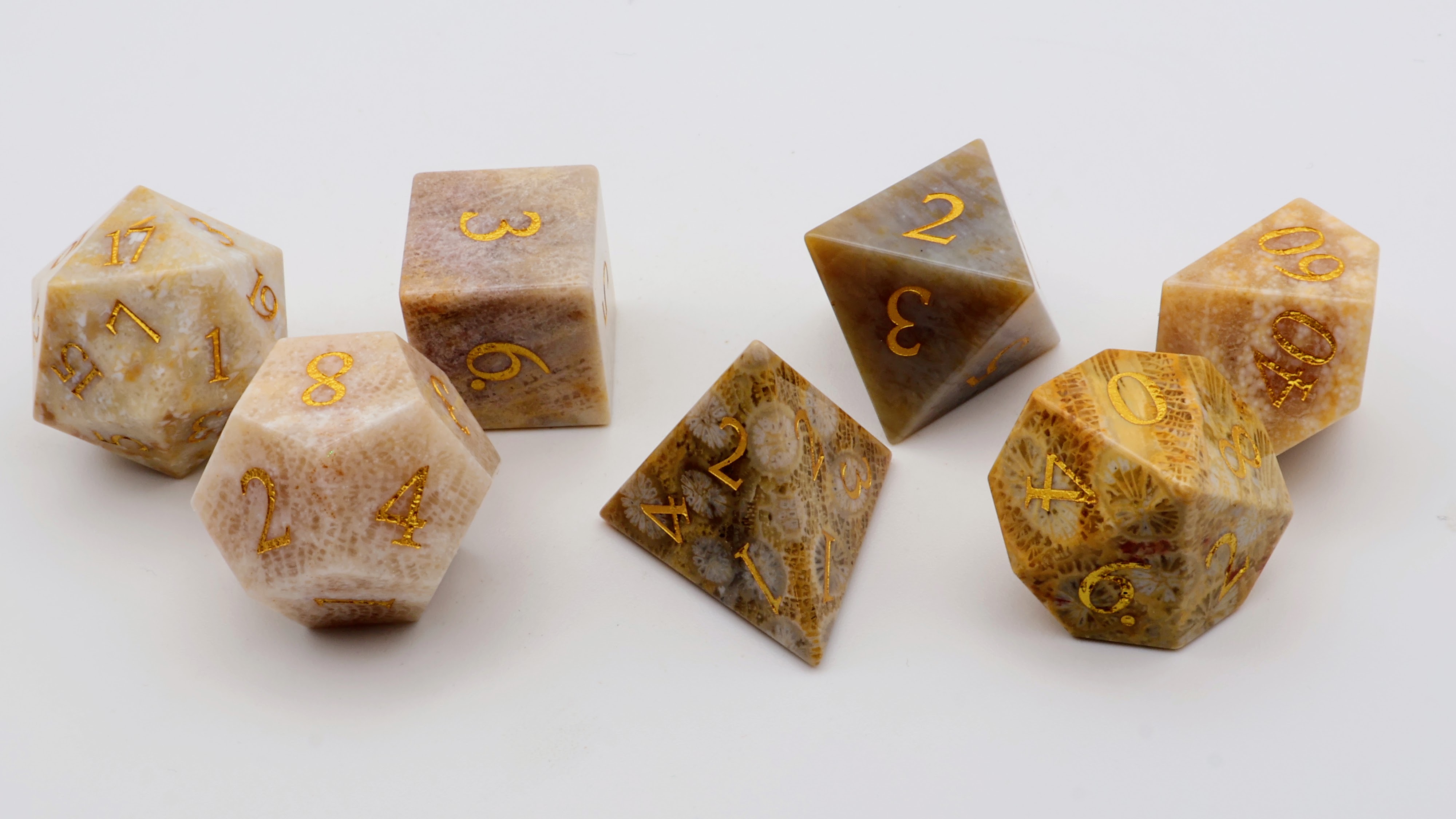Coral Fossil Gemstone Dice