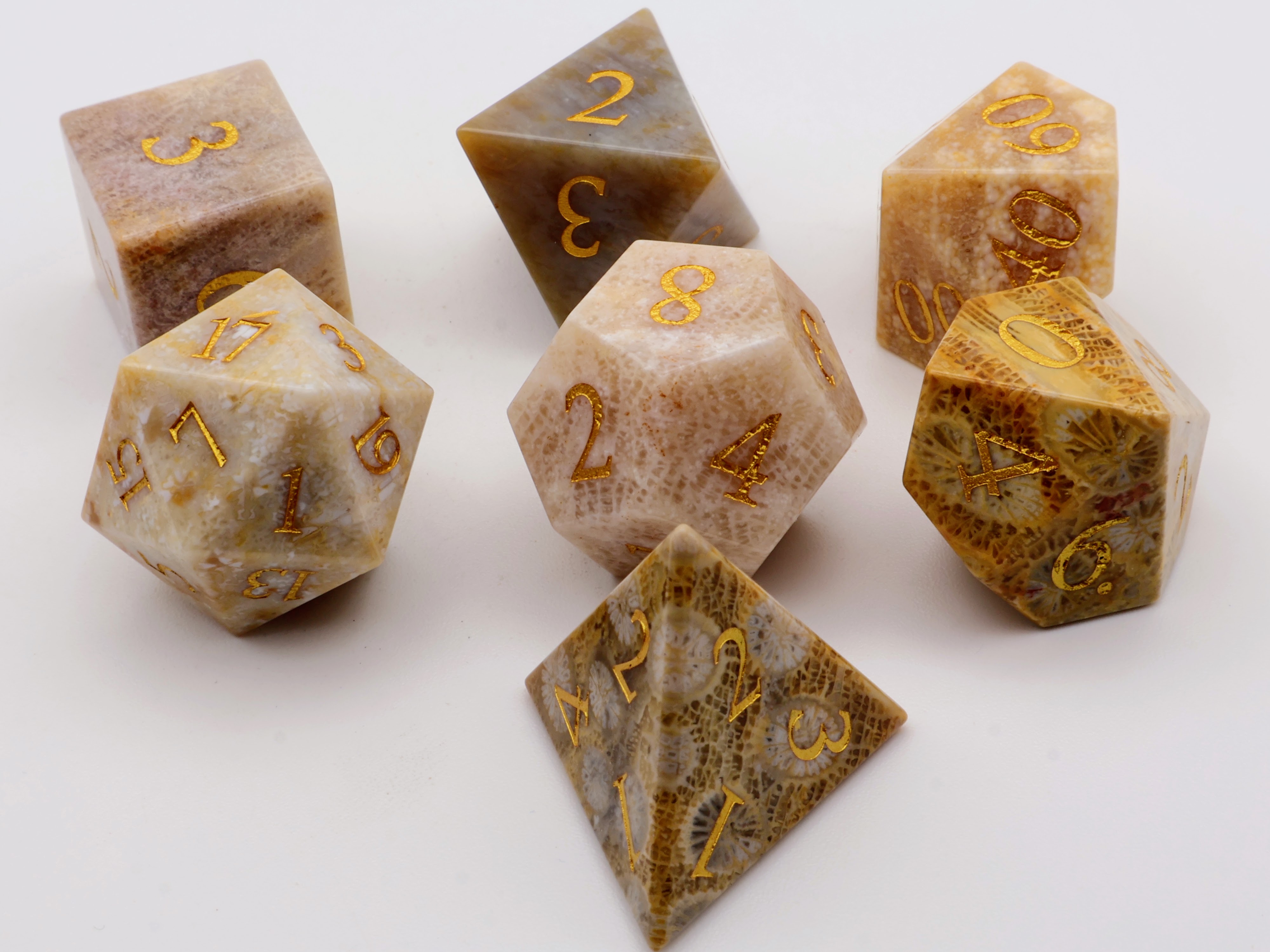 Coral Fossil Gemstone Dice