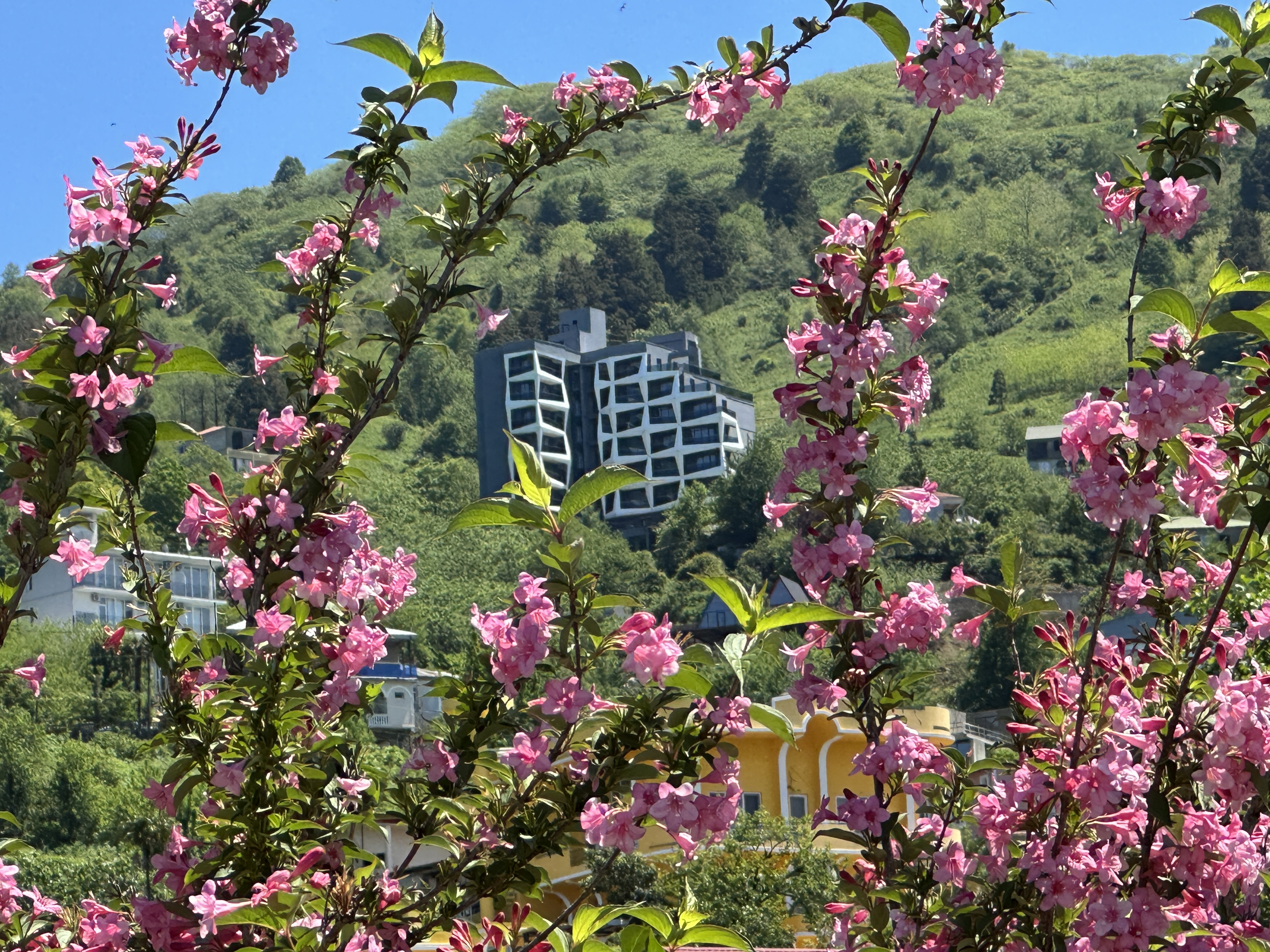 Hotel in Gonio | close to EMAAR project area