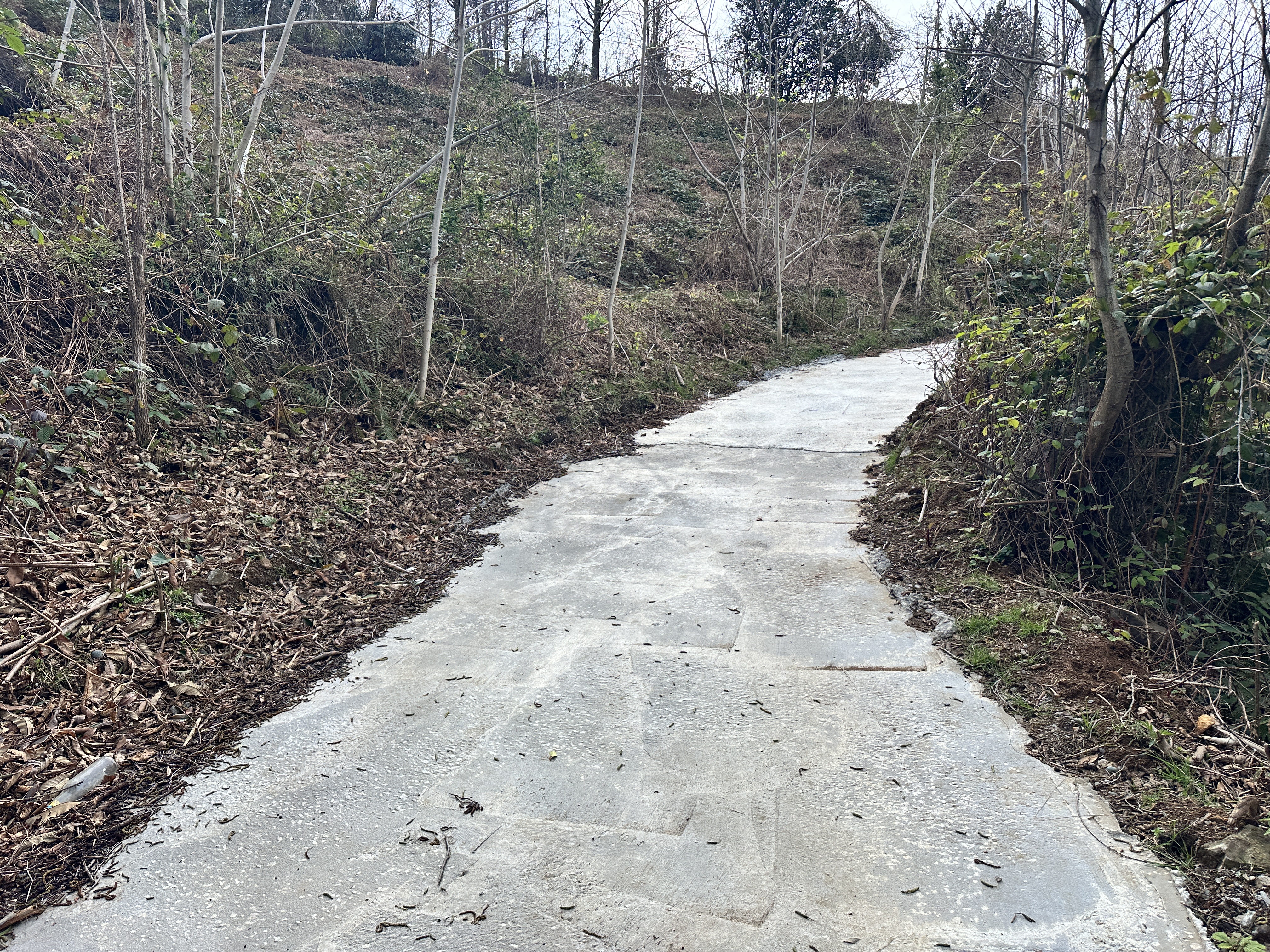 Investment Partnership Opportunity | Prime Land in Sarpi