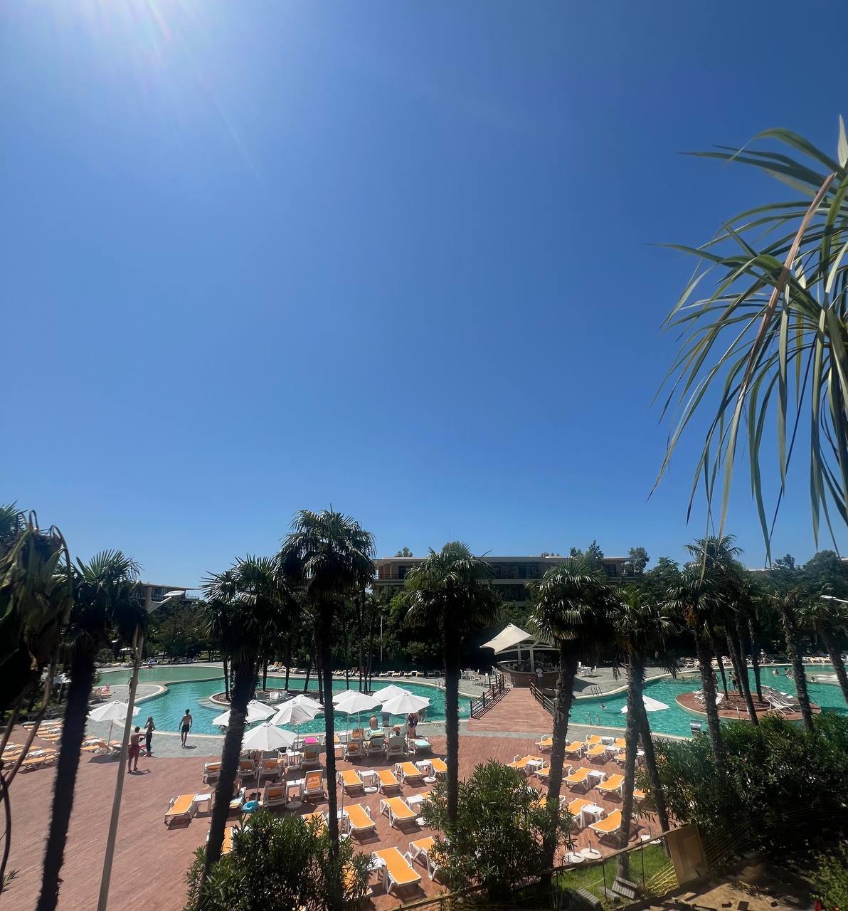 Apartment  in the new Block 13 | Dreamland Oasis Chakvi