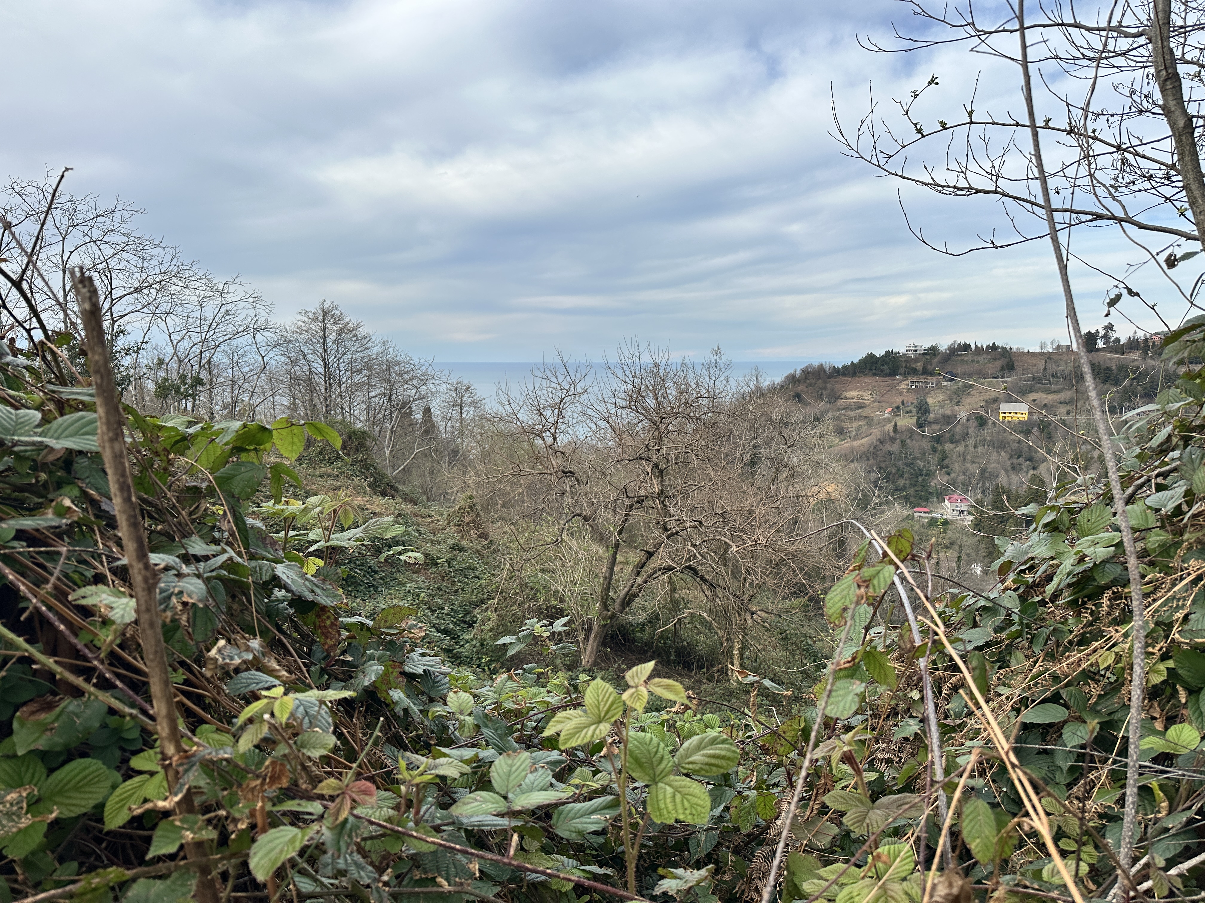 Investment Partnership Opportunity | Prime Land in Sarpi