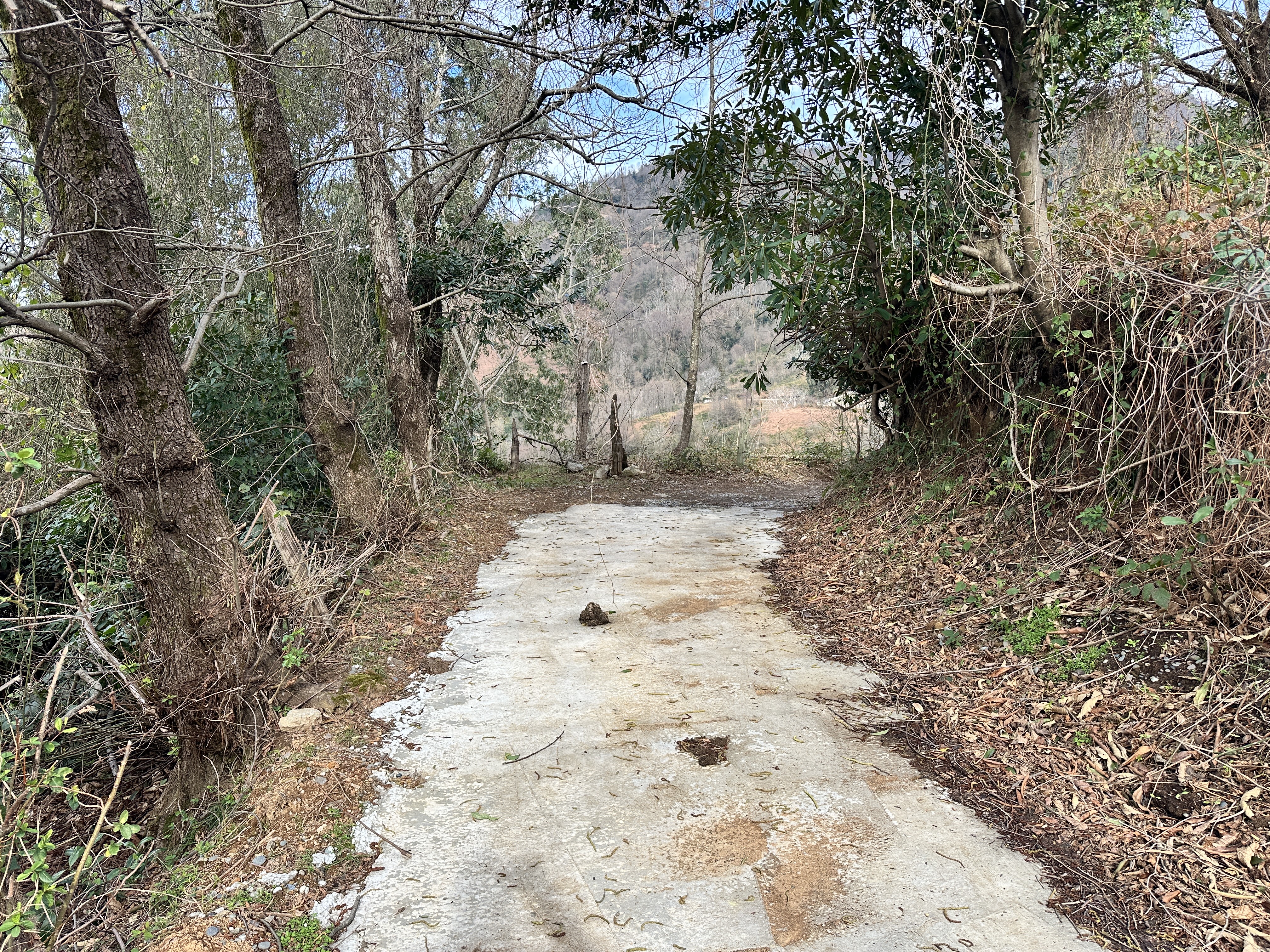 Investment Partnership Opportunity | Prime Land in Sarpi