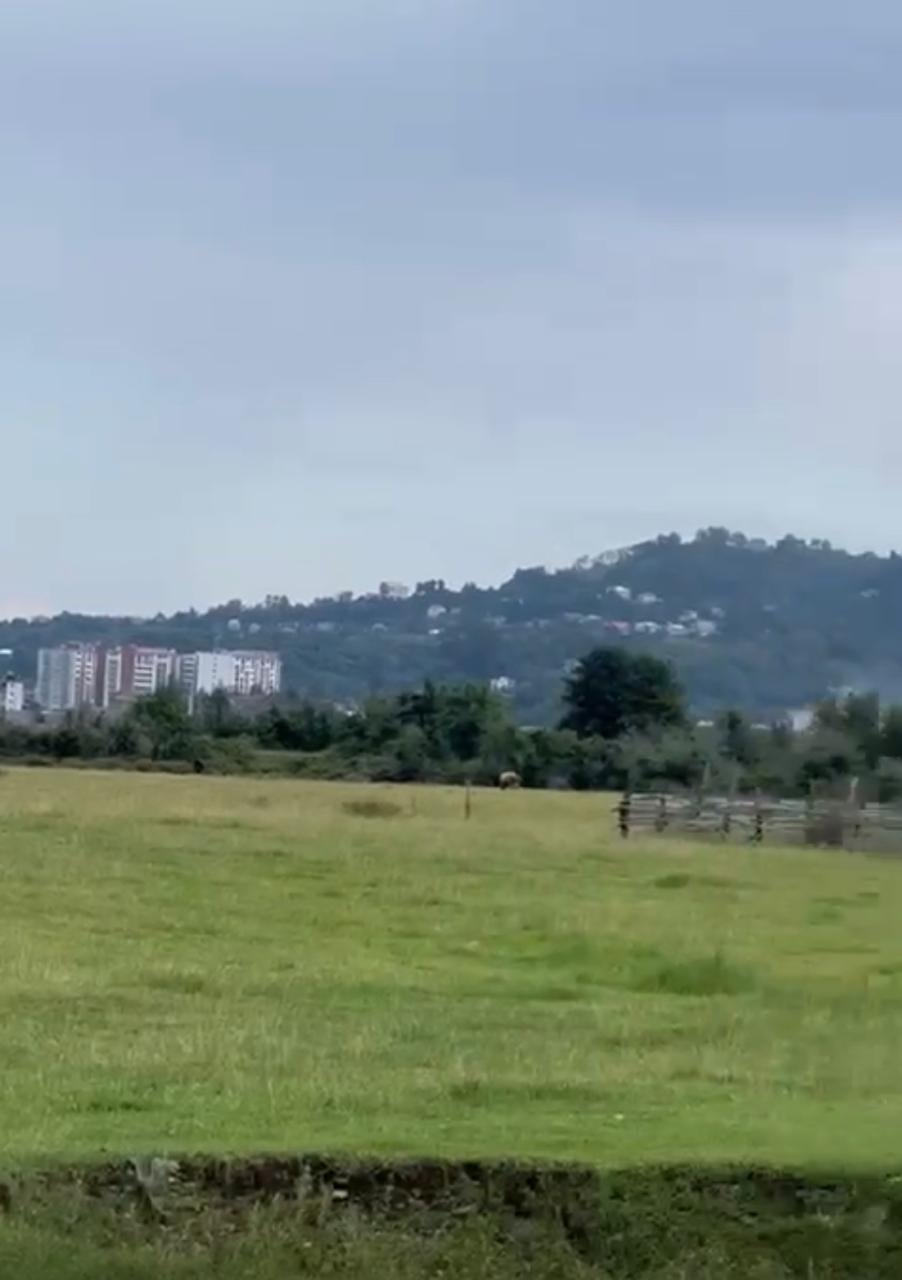 Prime 6,4ha land in Gonio/EMAAR