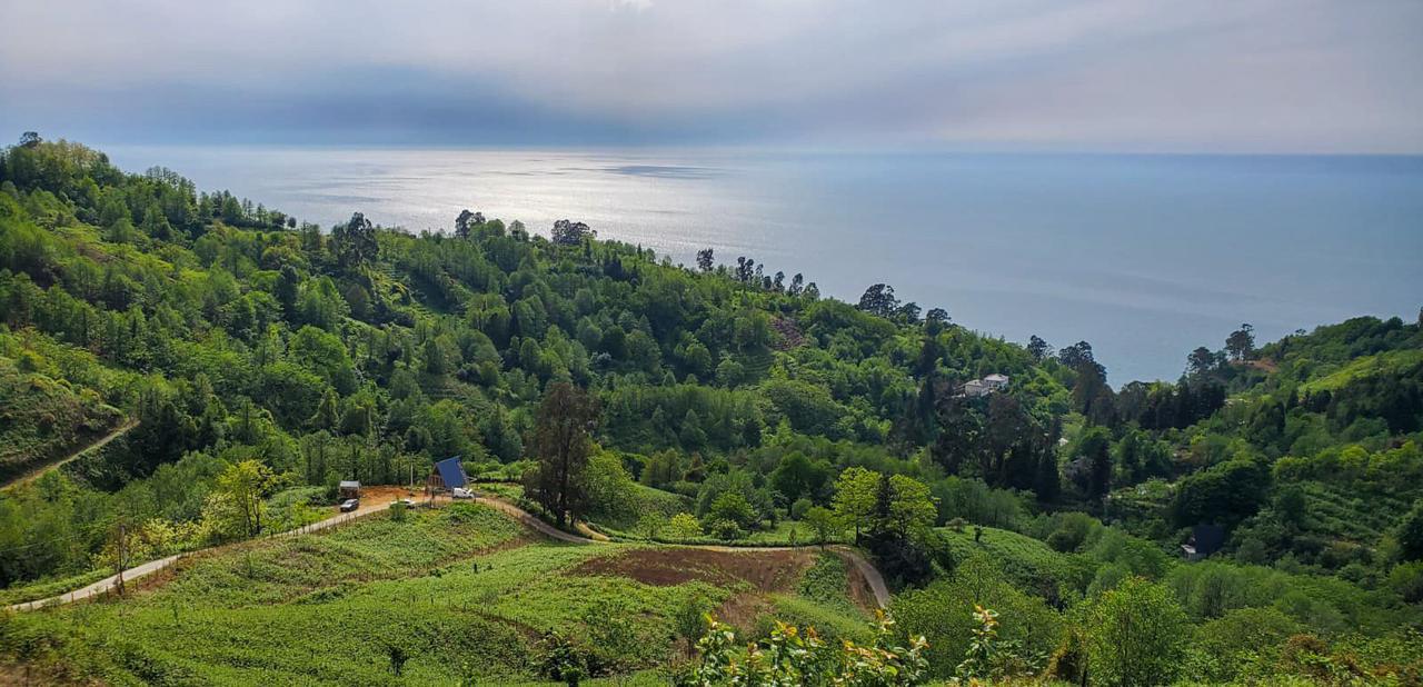 Land Plot in Sarpi  2,500 m²