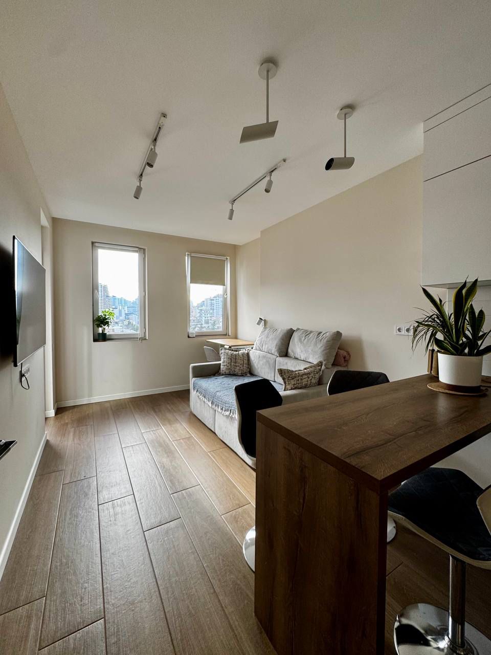 Modern one-bedroom apartment 