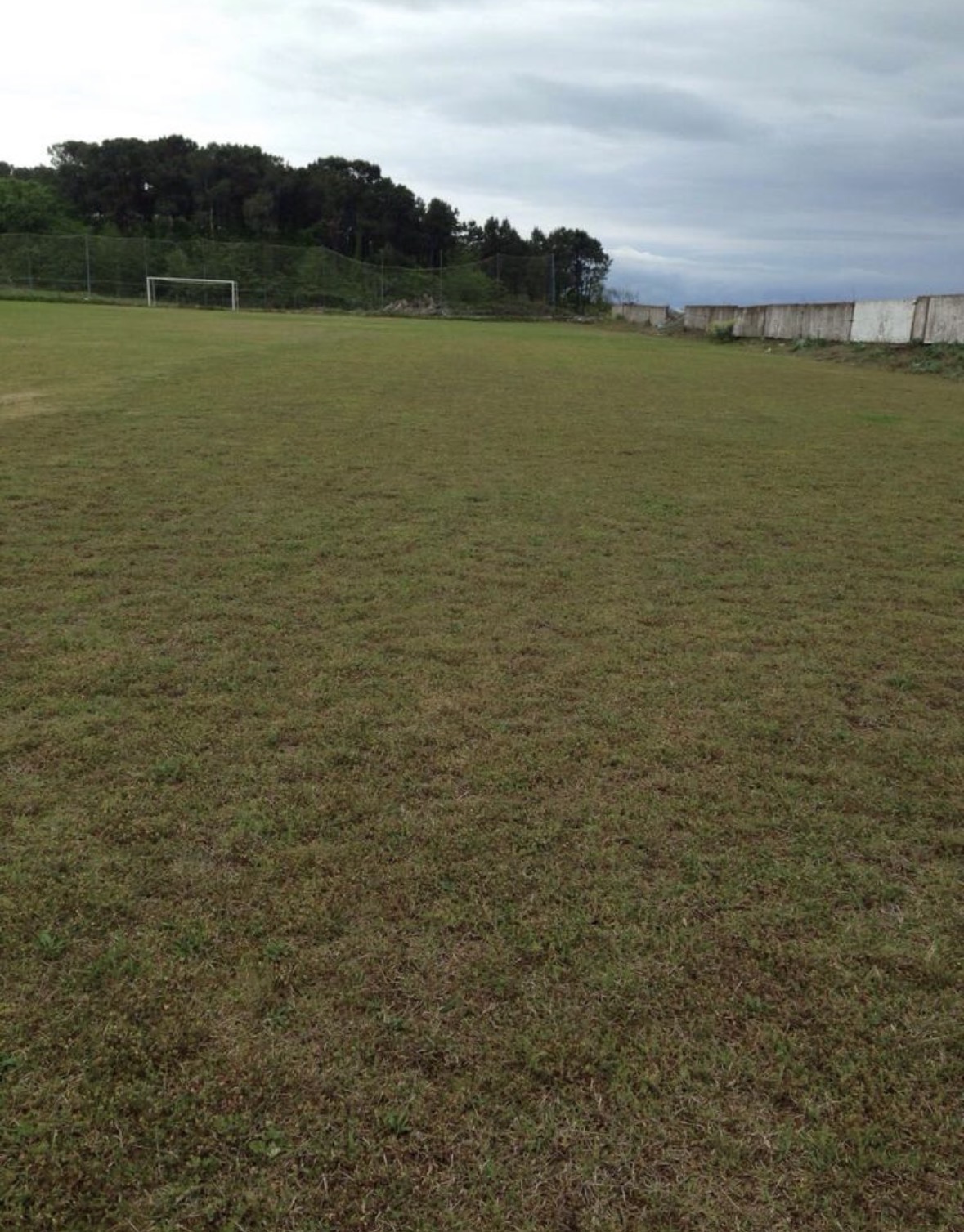 Prime development land in Ureki