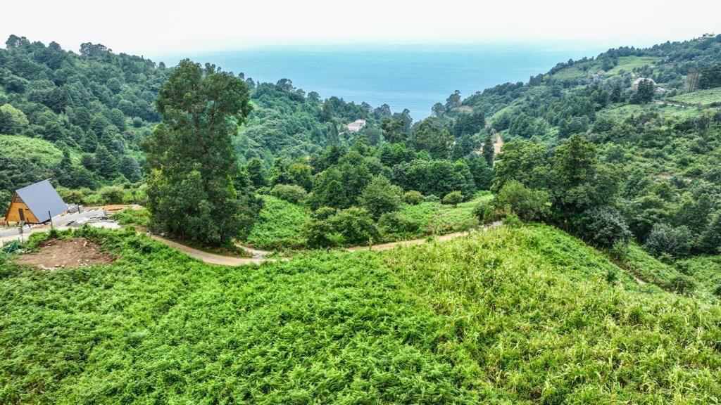 Land Plot in Sarpi  2,500 m²