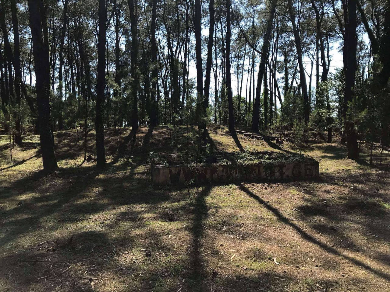 Land plot 36,500 m² in Ureki