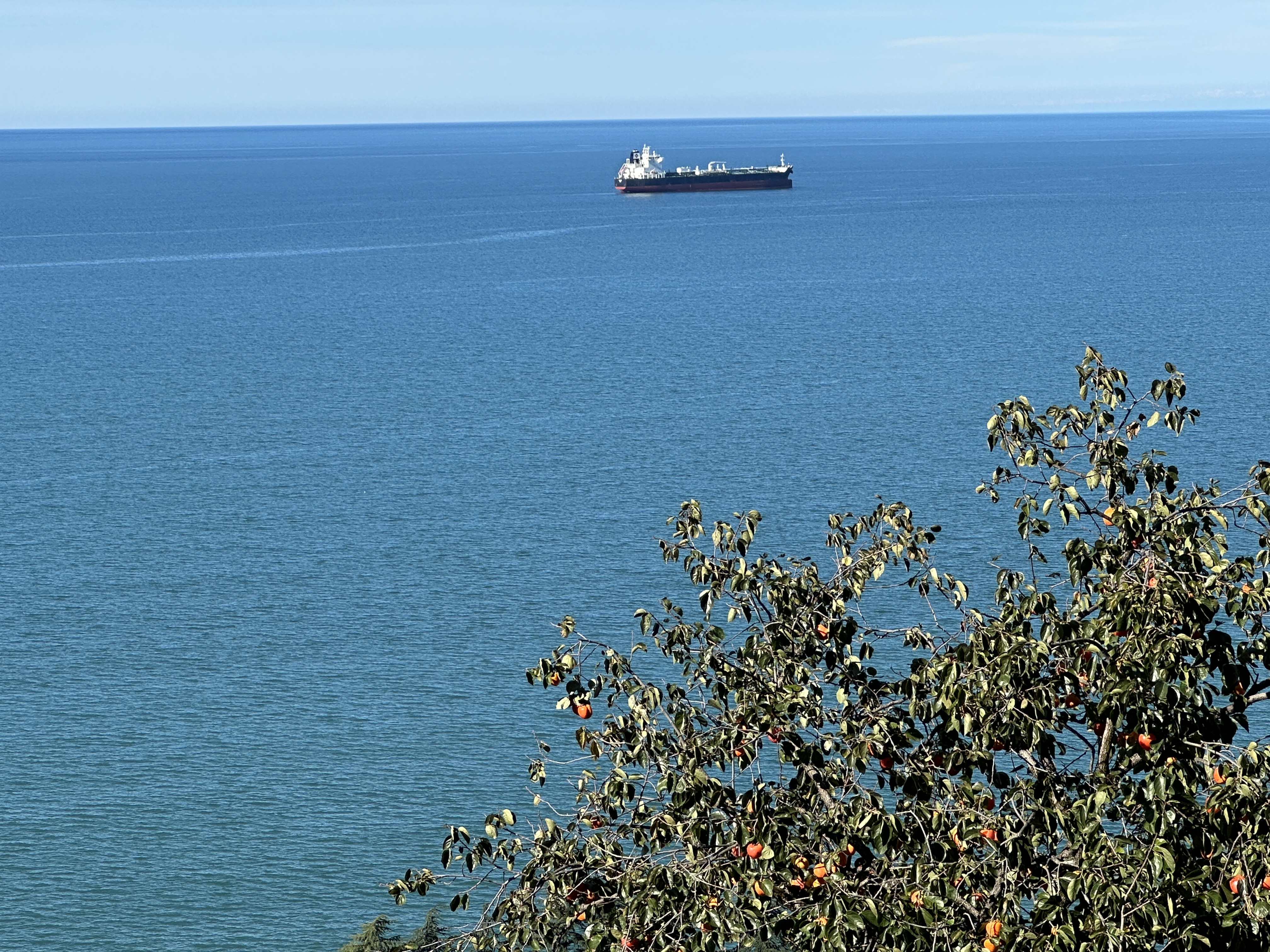 Residence | Makhinjauri