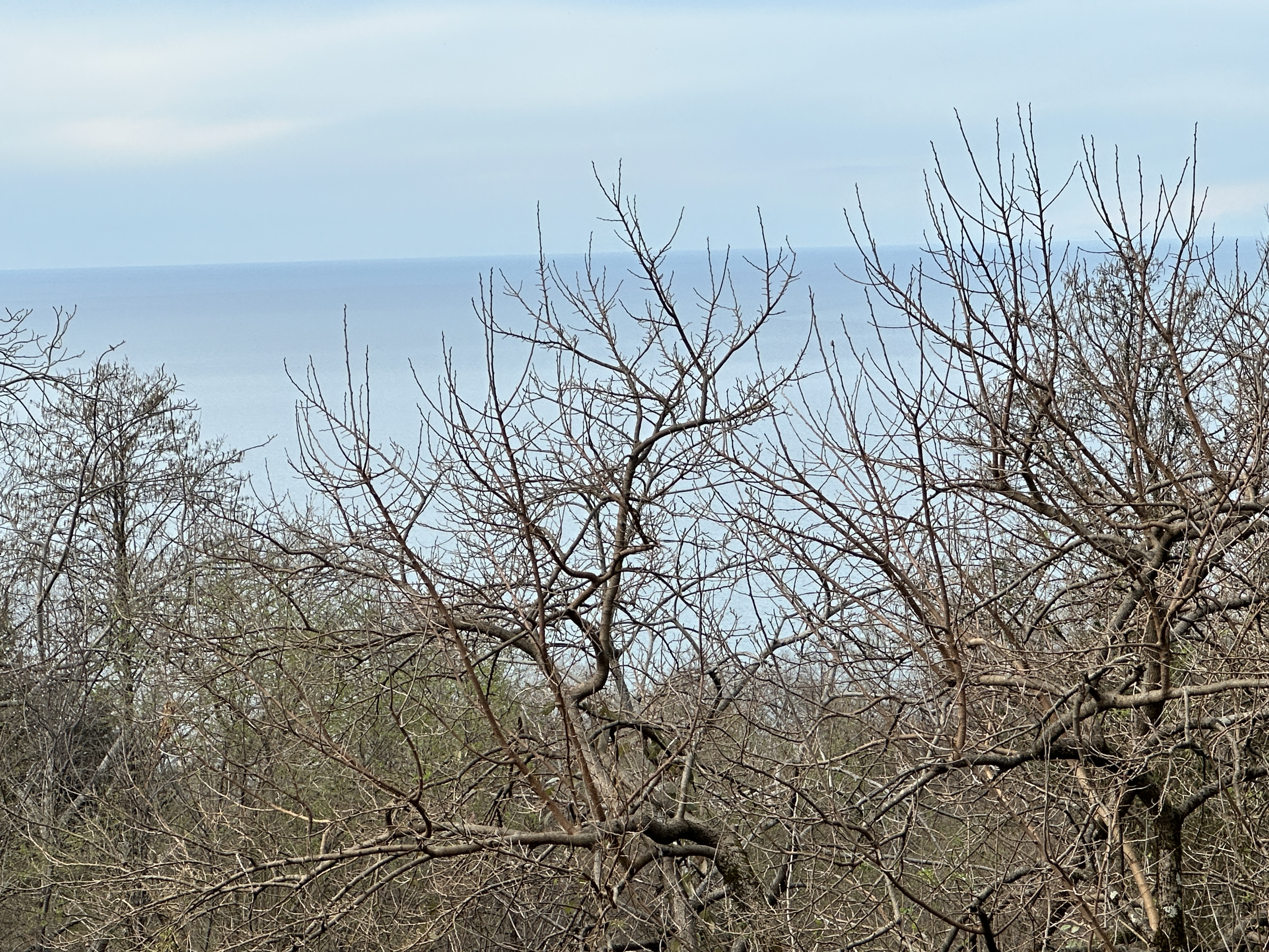 Investment Partnership Opportunity | Prime Land in Sarpi