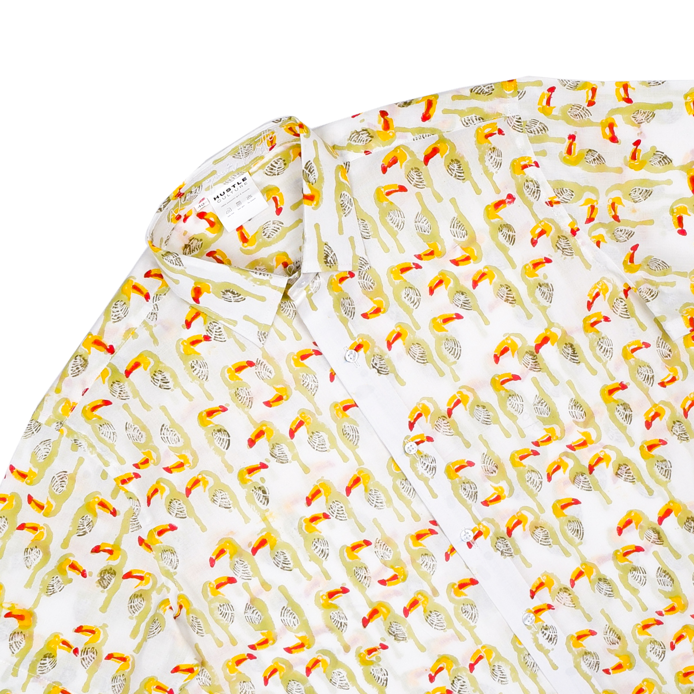 Toucans