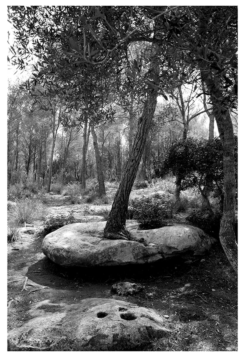 Chemin de Cala Turqueta