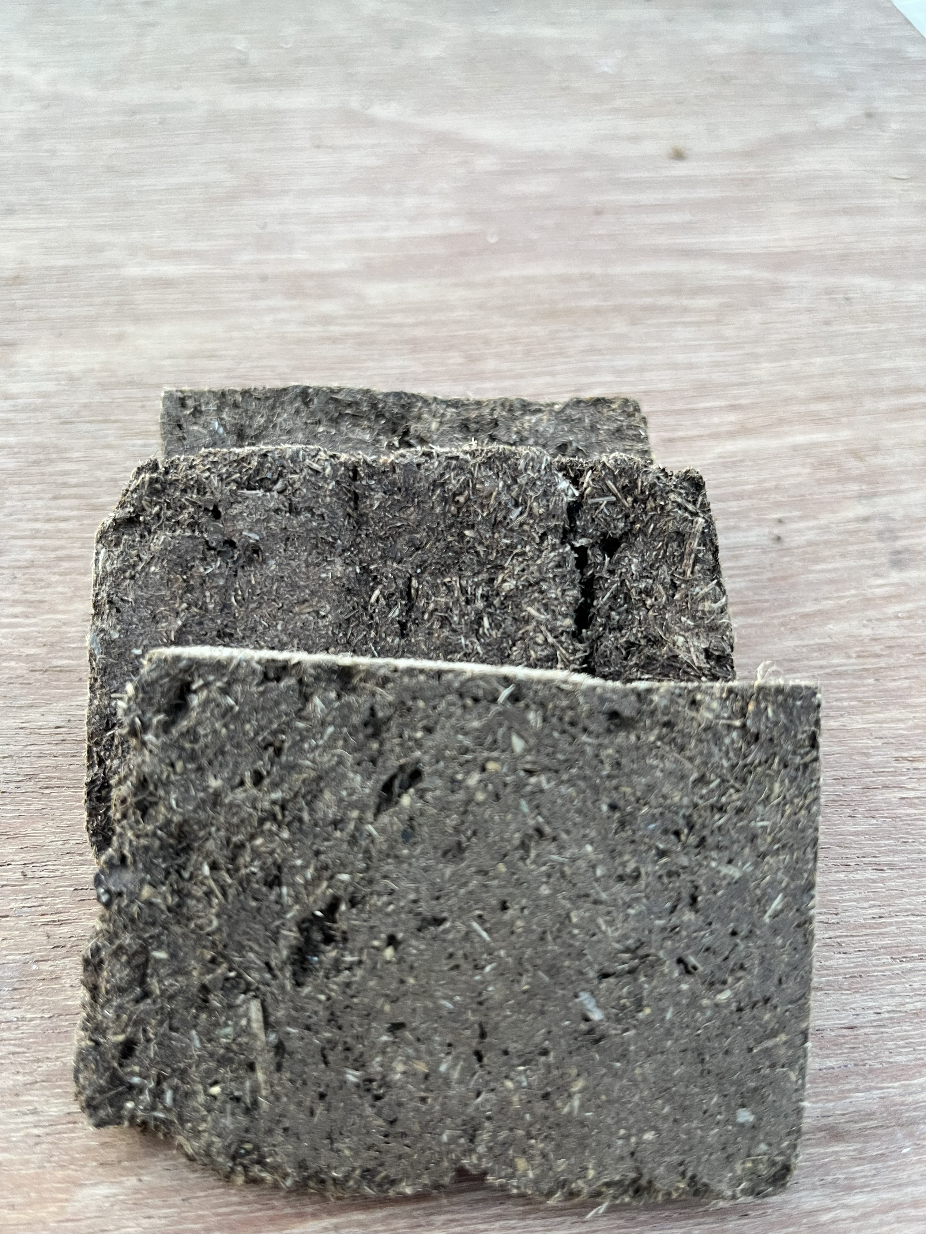 Agnihotra Kullu (Berani)