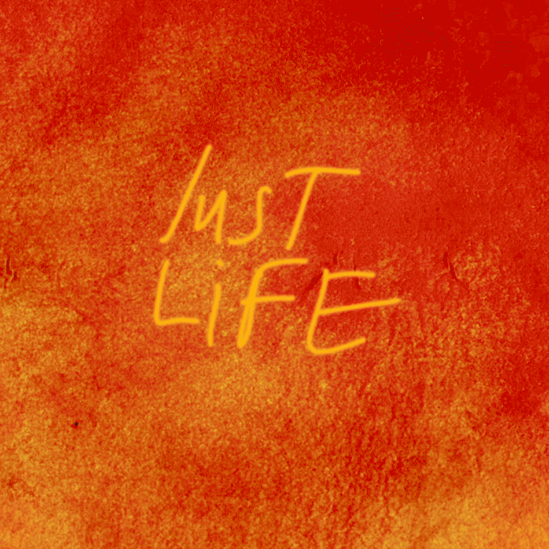Just Life