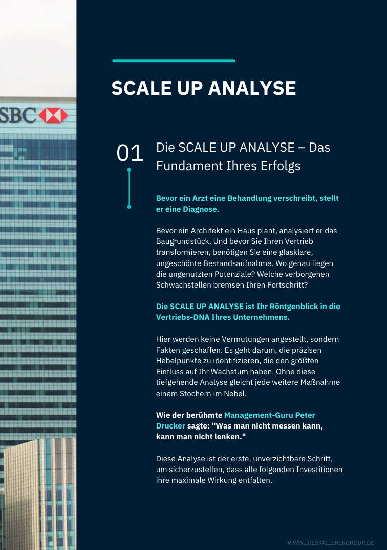 SCALE UP ANALYSE