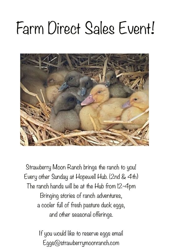 Moon Ranch Eggs Farm Direct Sales at the Hub