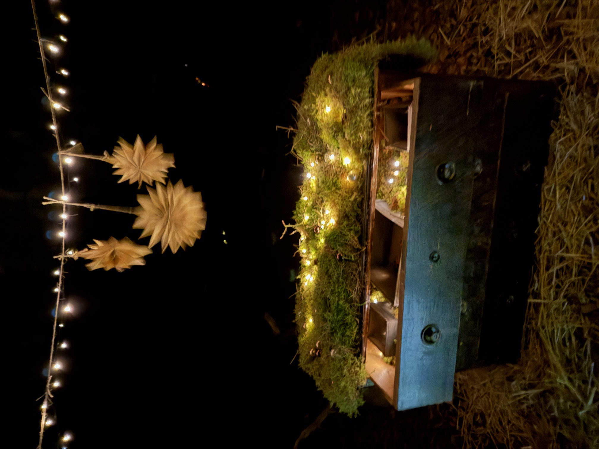 Deine Reise zu Dir – 2026: Dein Jahr für Deine Seelenentwicklung ONLINE  SINGAL MODUL