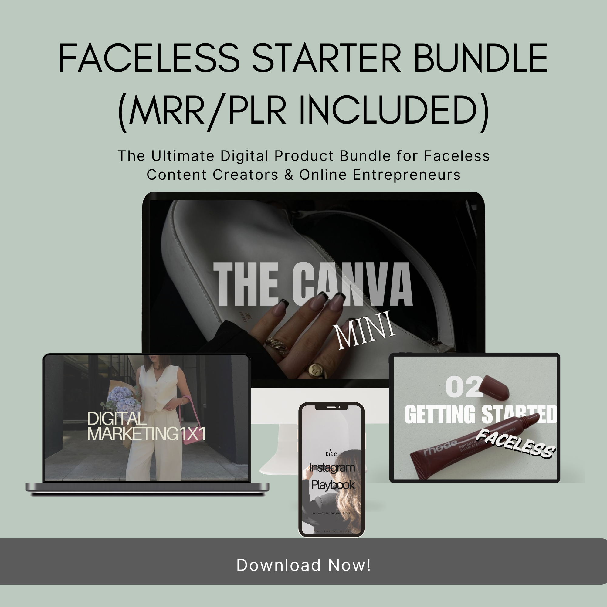 Faceless Starter Bundle (MRR/PLR Included)