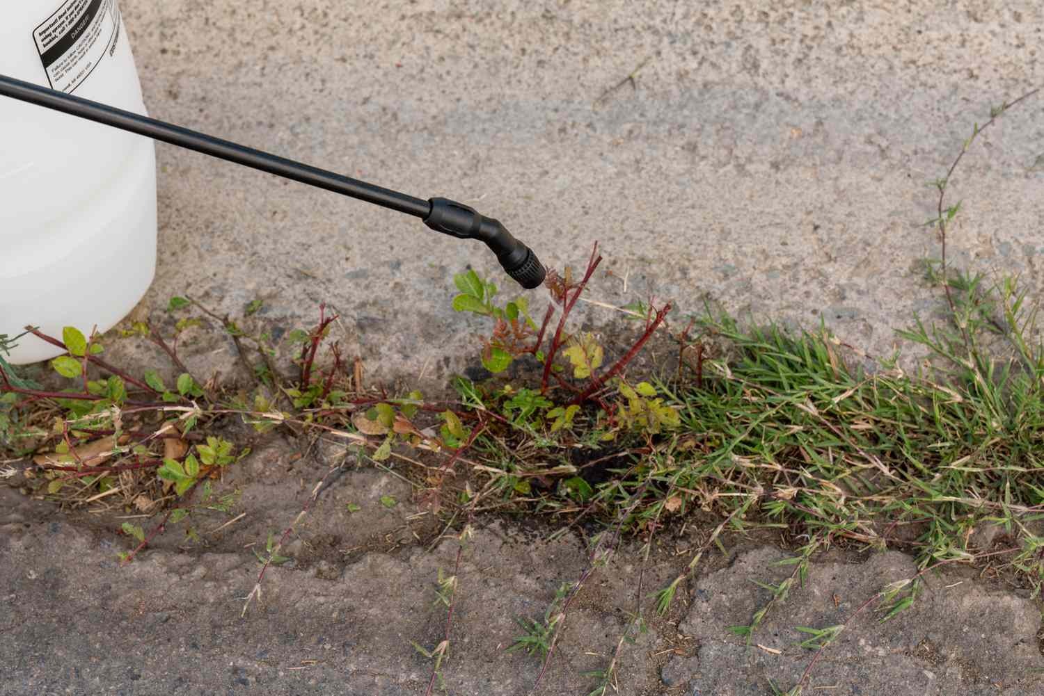 Weed Spraying Program 