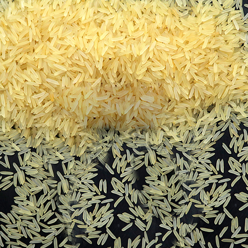 Pesticide Free Sharbati Organic Basmati Rice