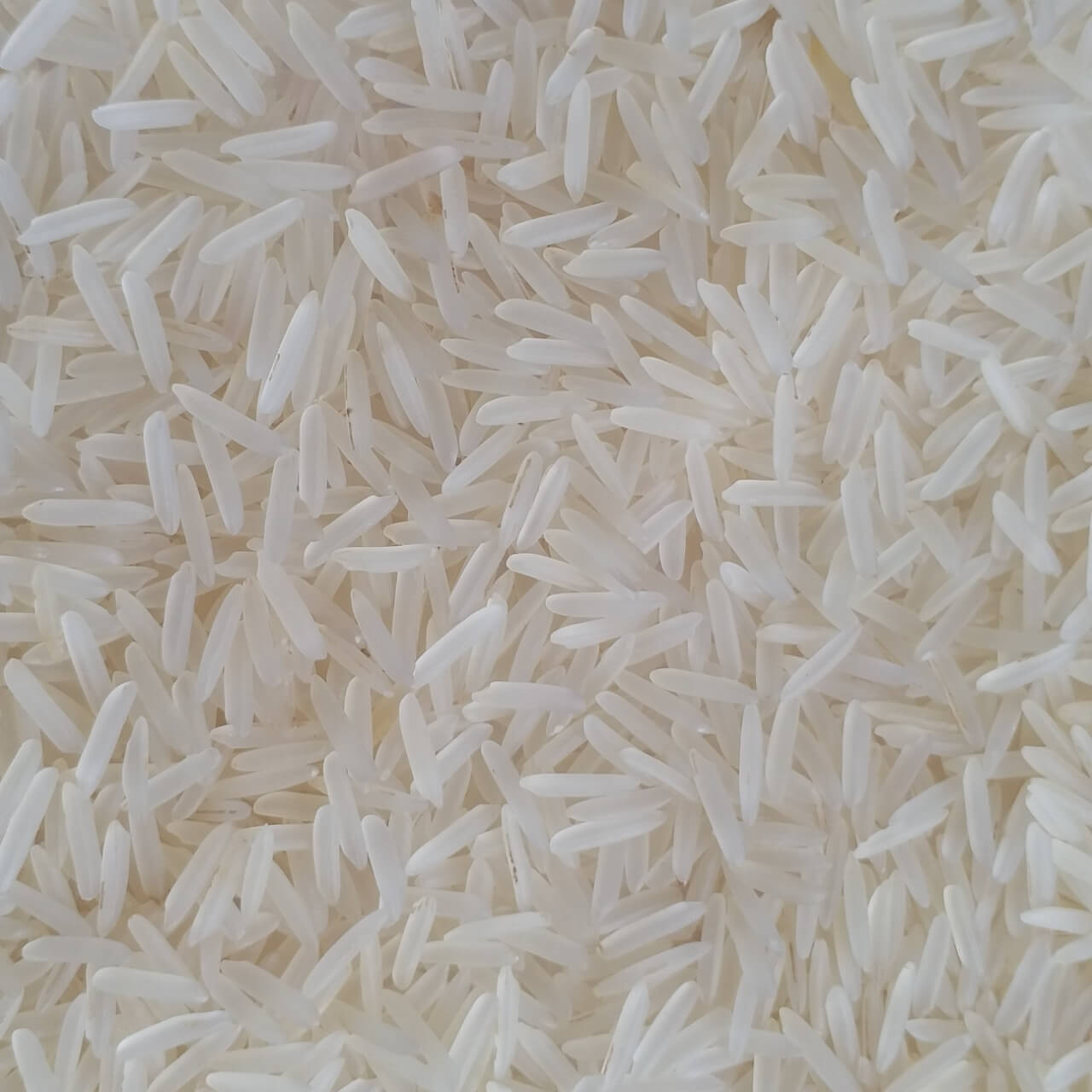 Pesticide-Free 1718 Organic Basmati Rice