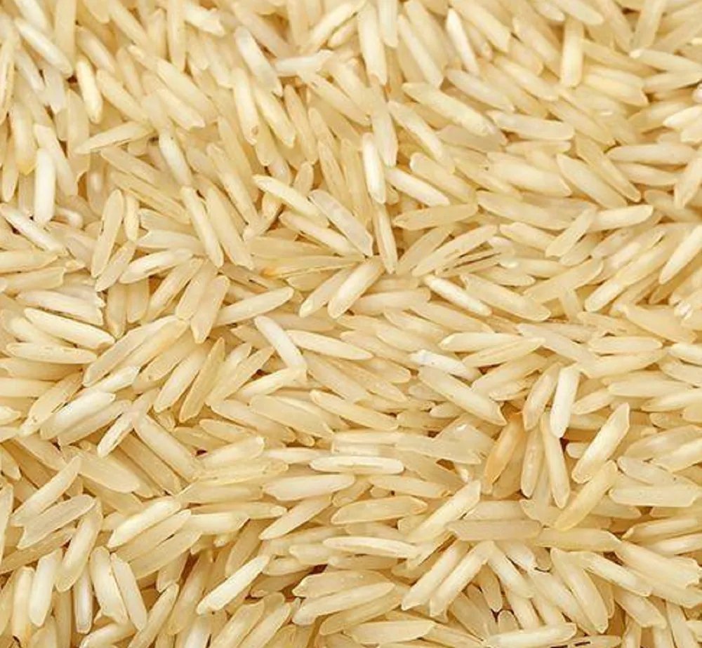 1509 Basmati Rice – White Sella | Golden Sella | Steam