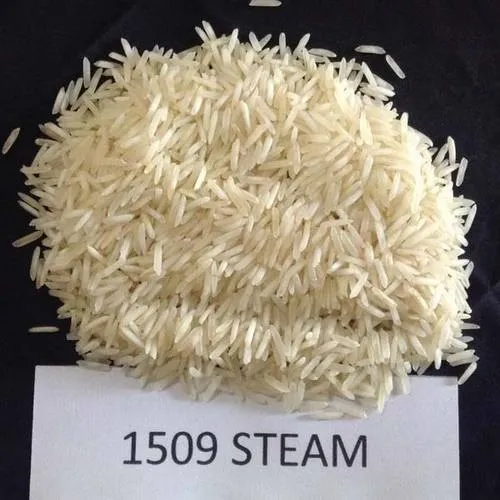 1509 Basmati Rice – White Sella | Golden Sella | Steam