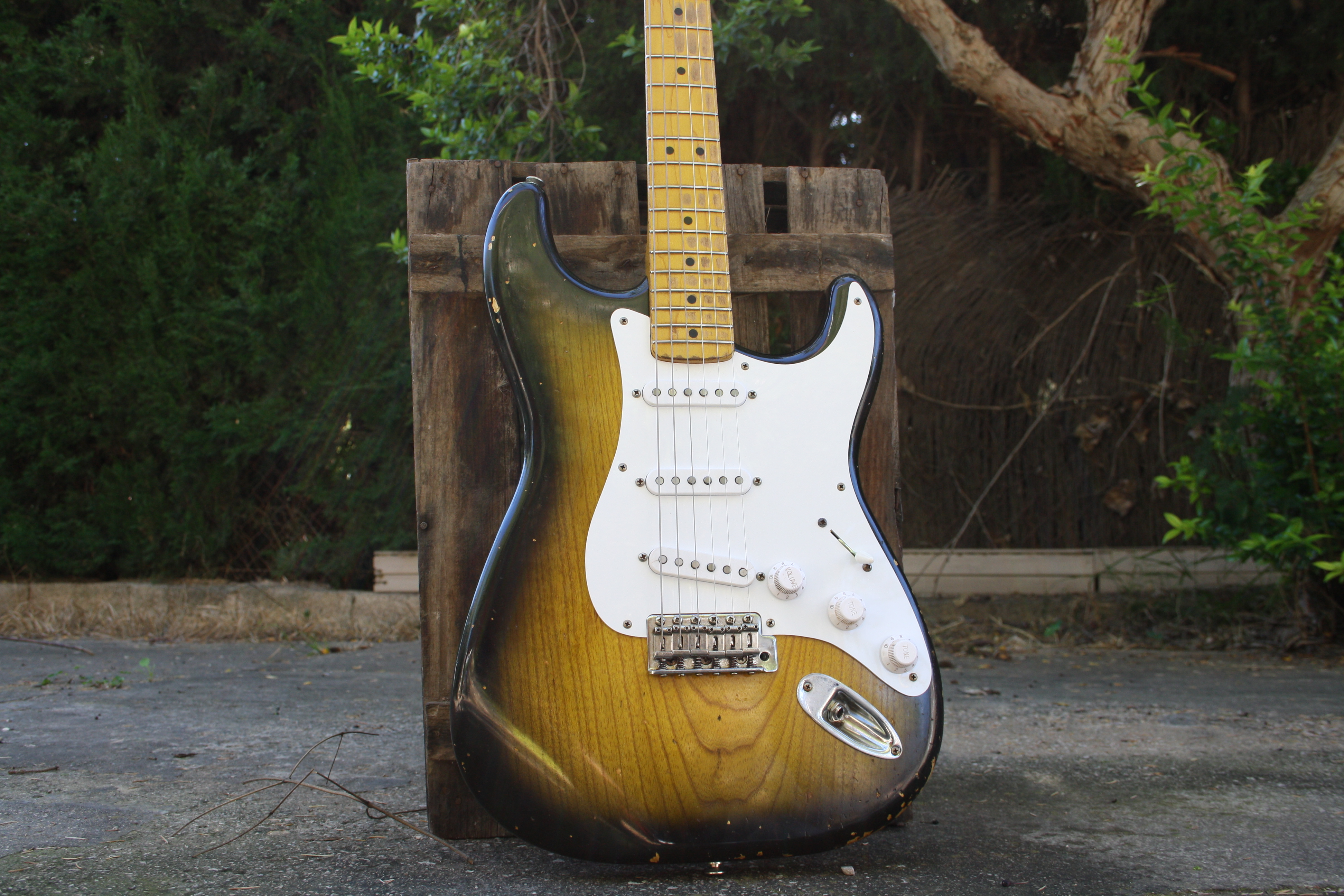 S-Model 20th Anniversary