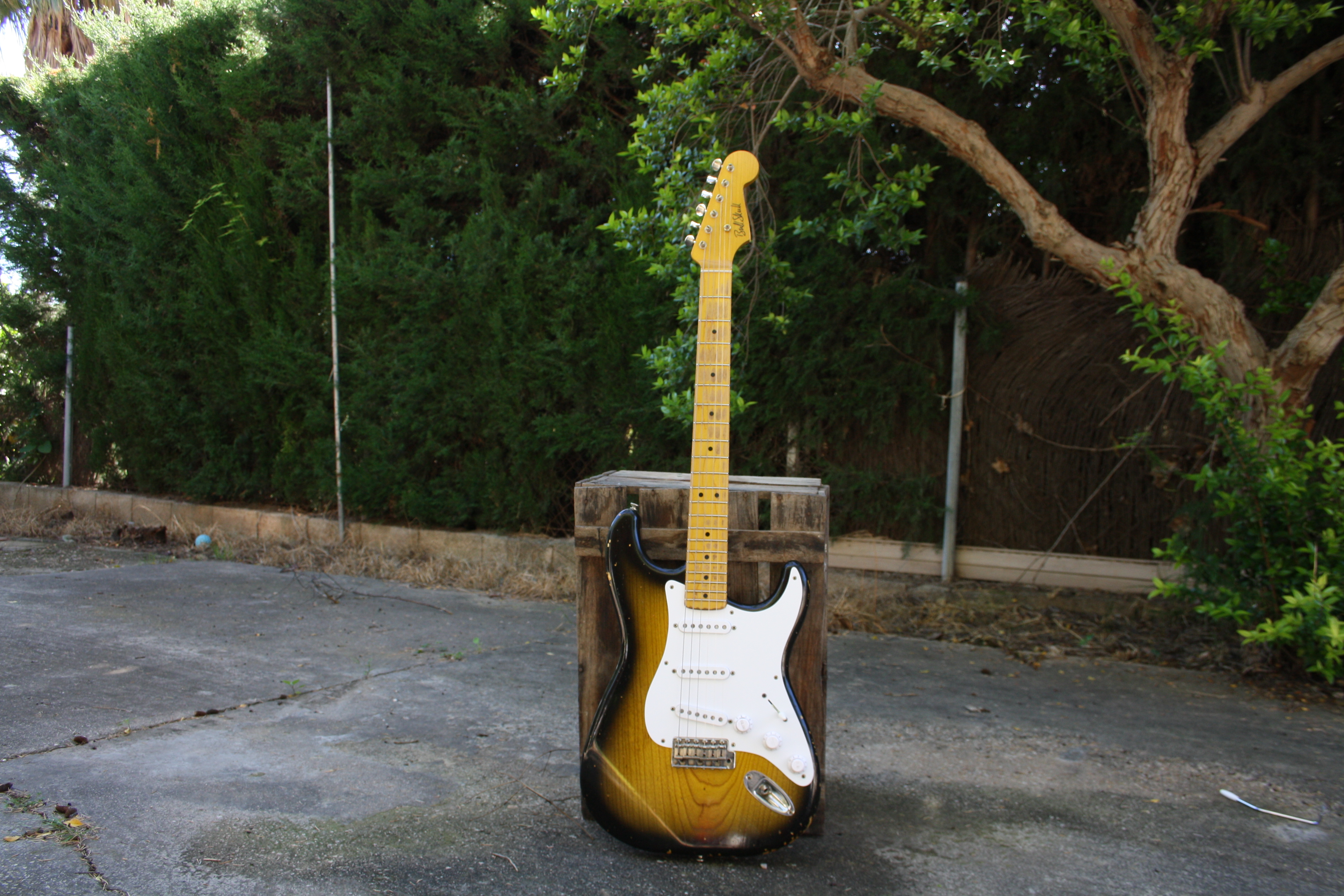 S-Model 20th Anniversary