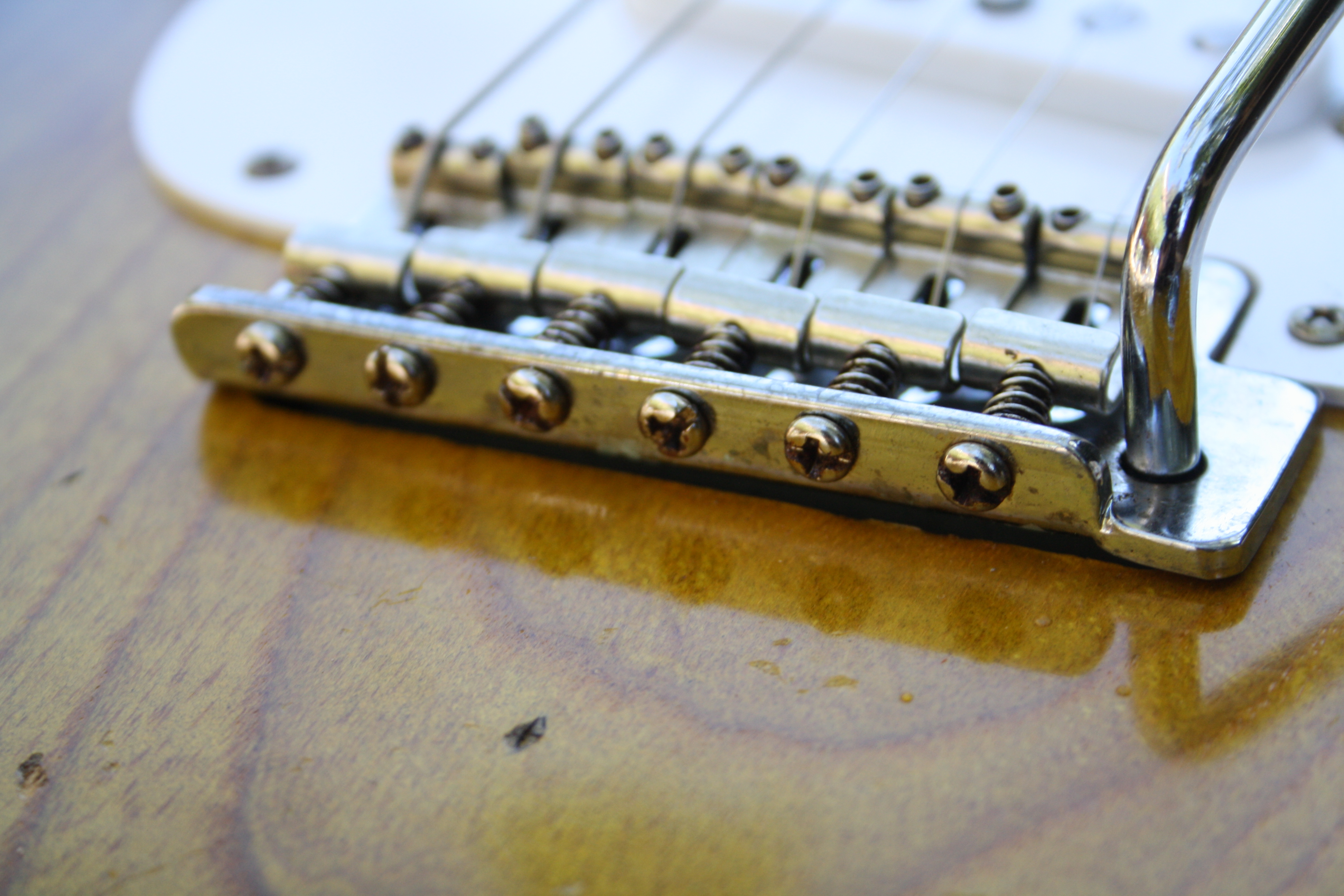 S-Model 20th Anniversary