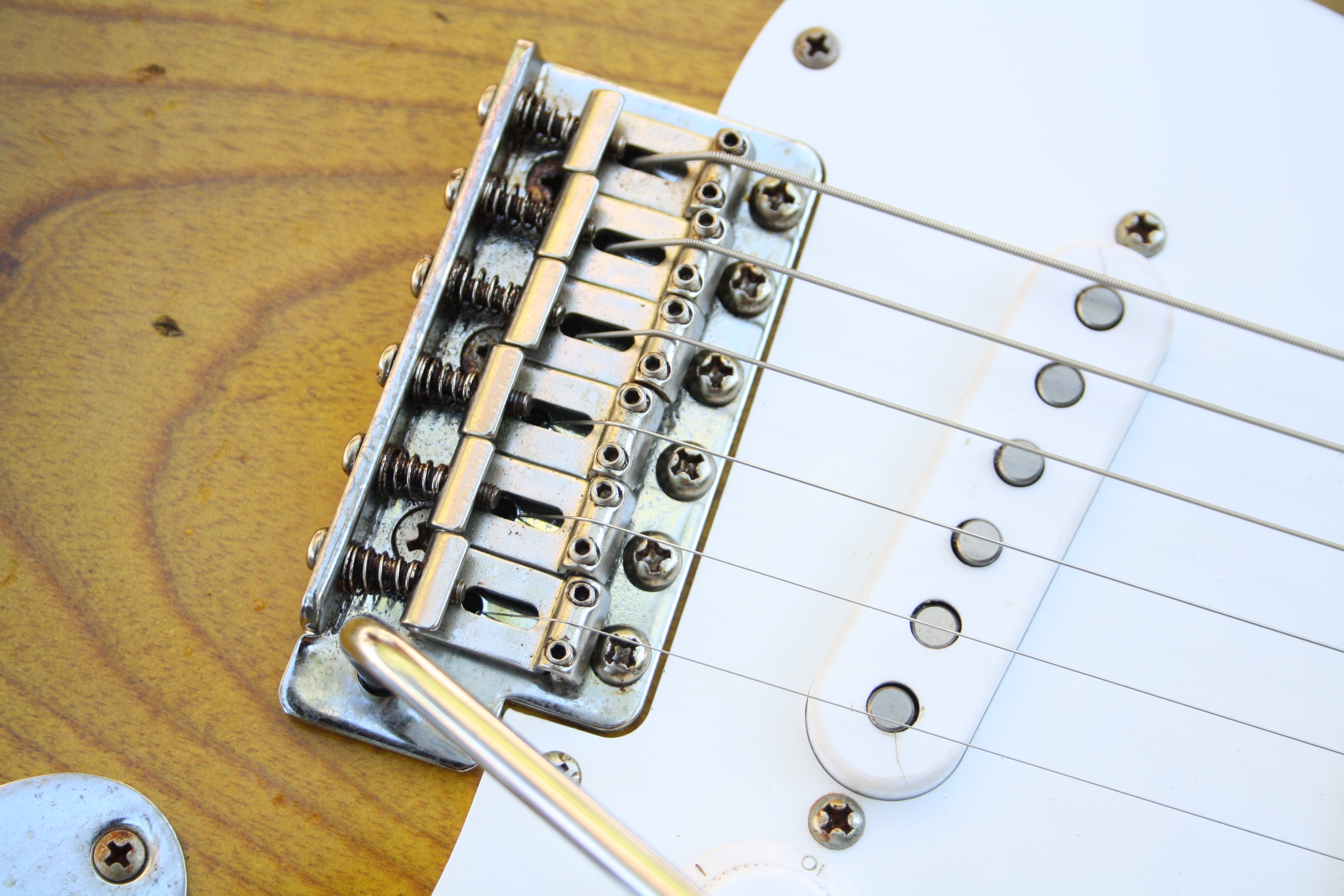 S-Model 20th Anniversary
