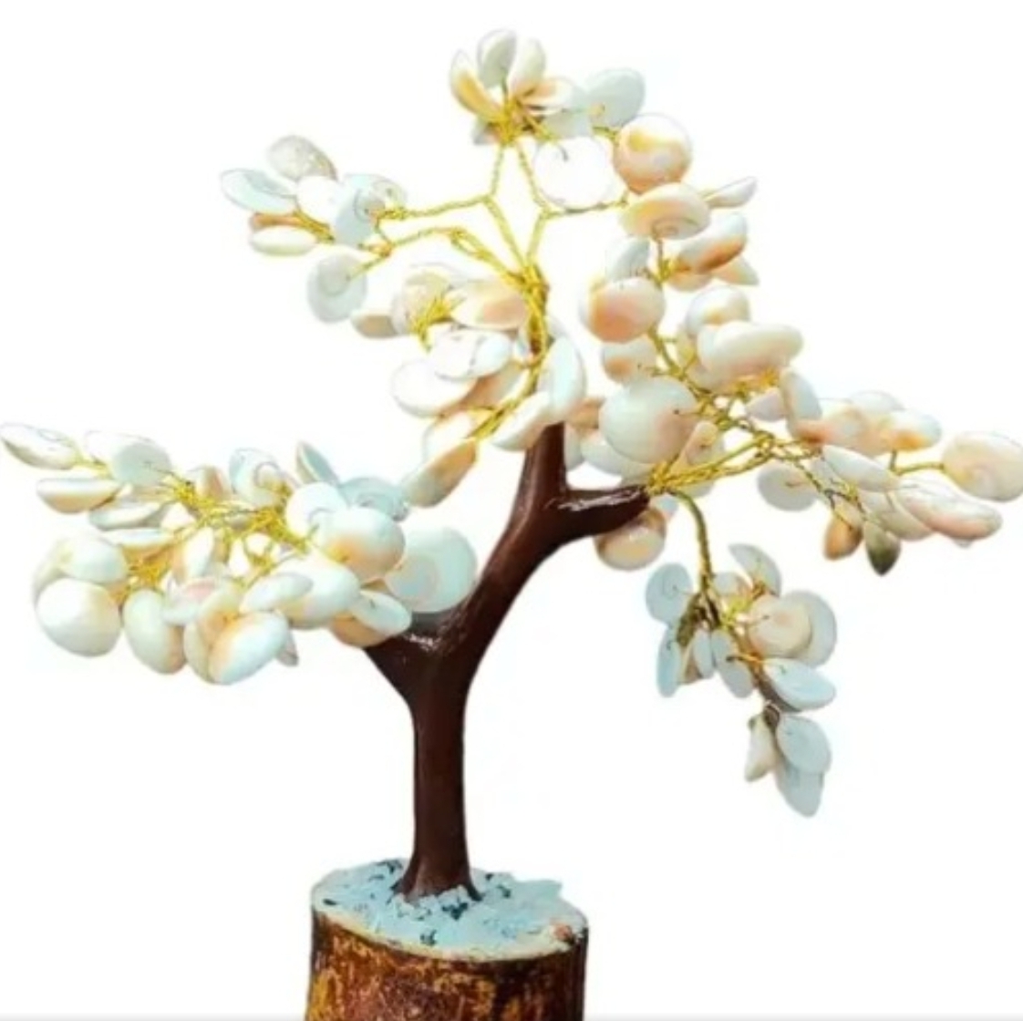 Gomti Rudraksha Tree