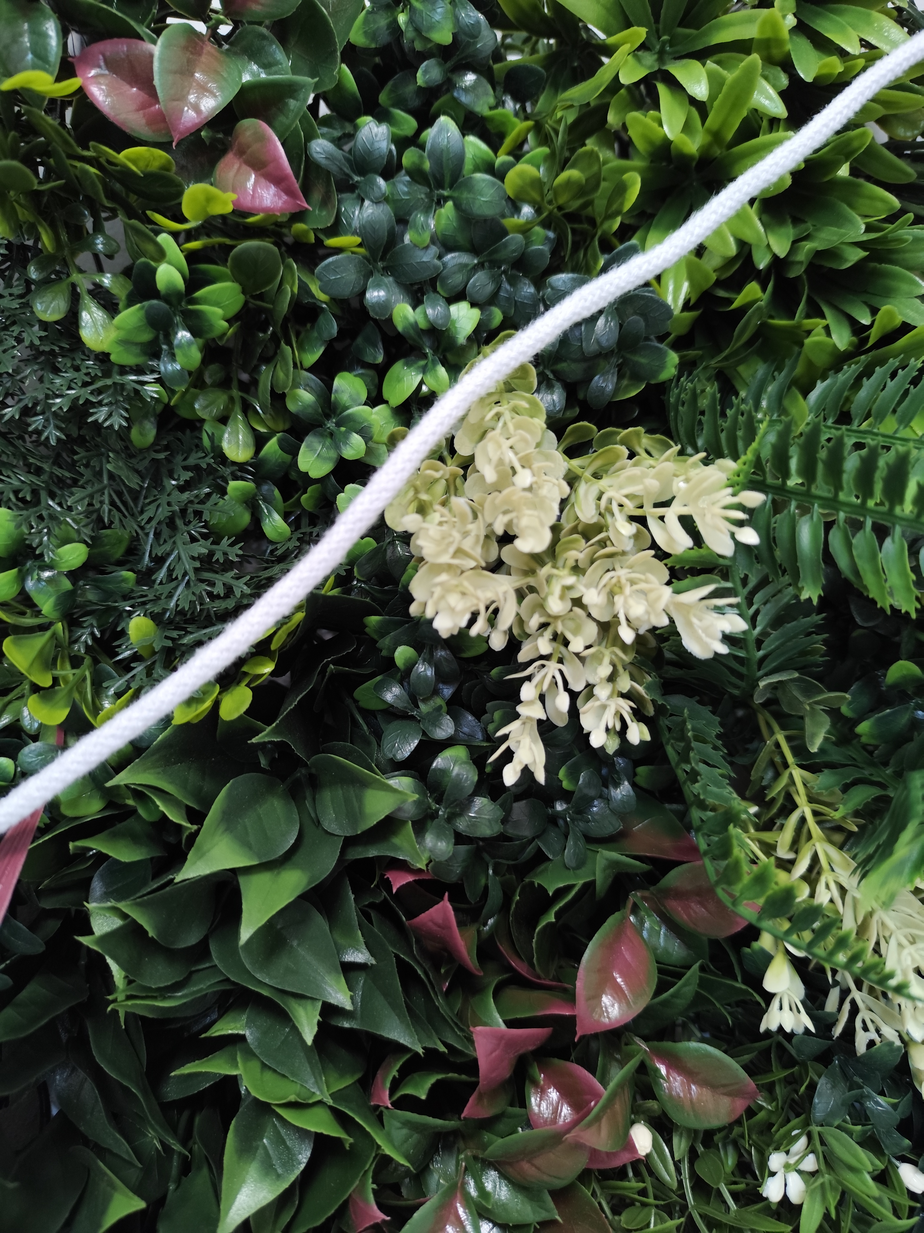 Halter z cordeo w kolorze białym