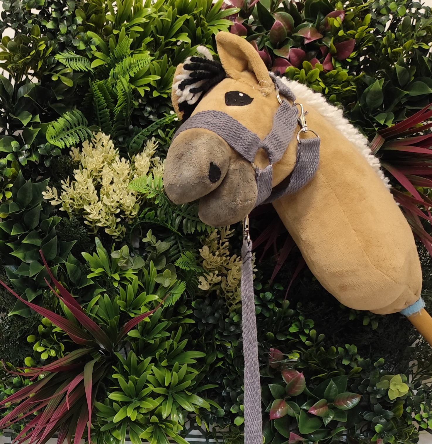 Kantar z uwiązem szary do lonżowania